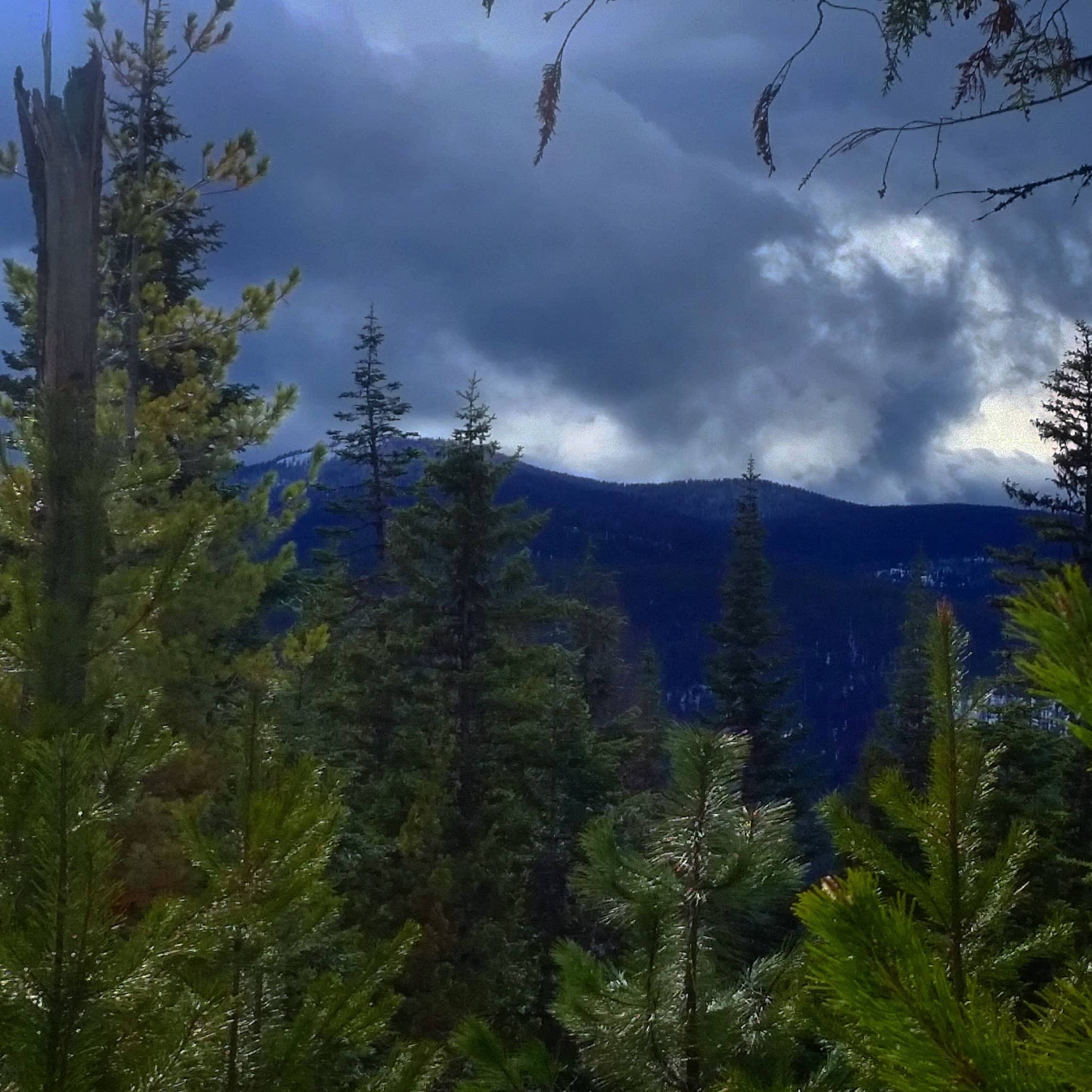 Moyie Springs - Moyie Springs, ID