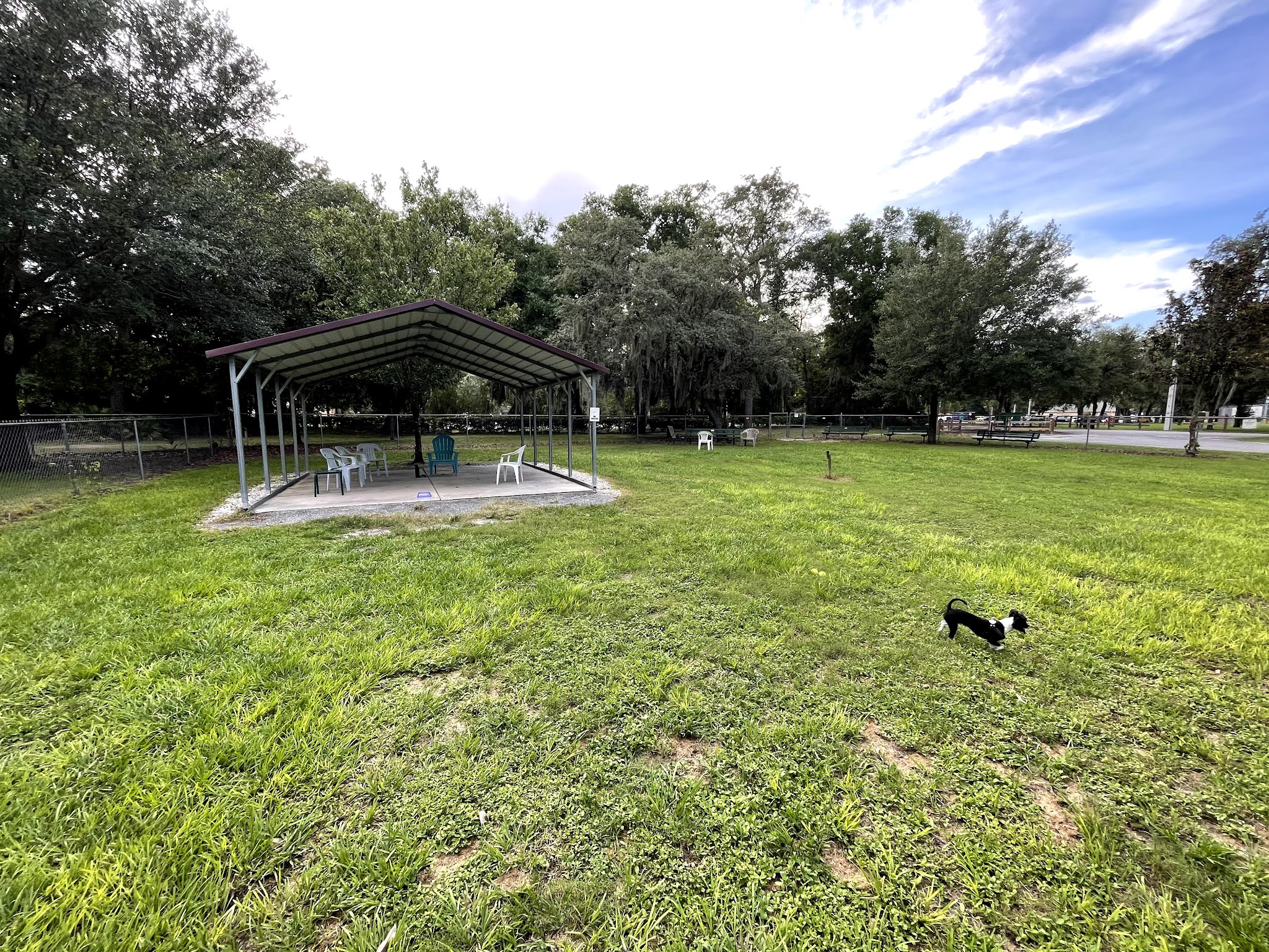 Mt Dora Dog Park - Mt Dora, FL