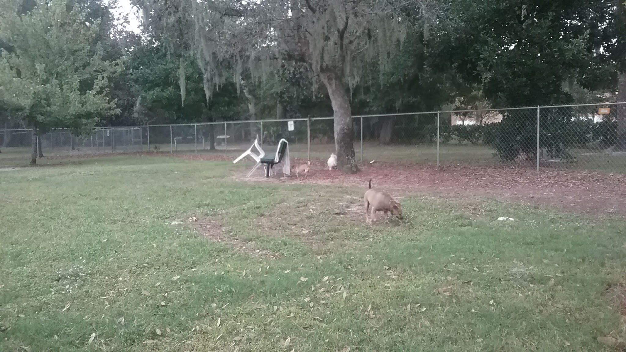 Mt Dora Dog Park - Mt Dora, FL