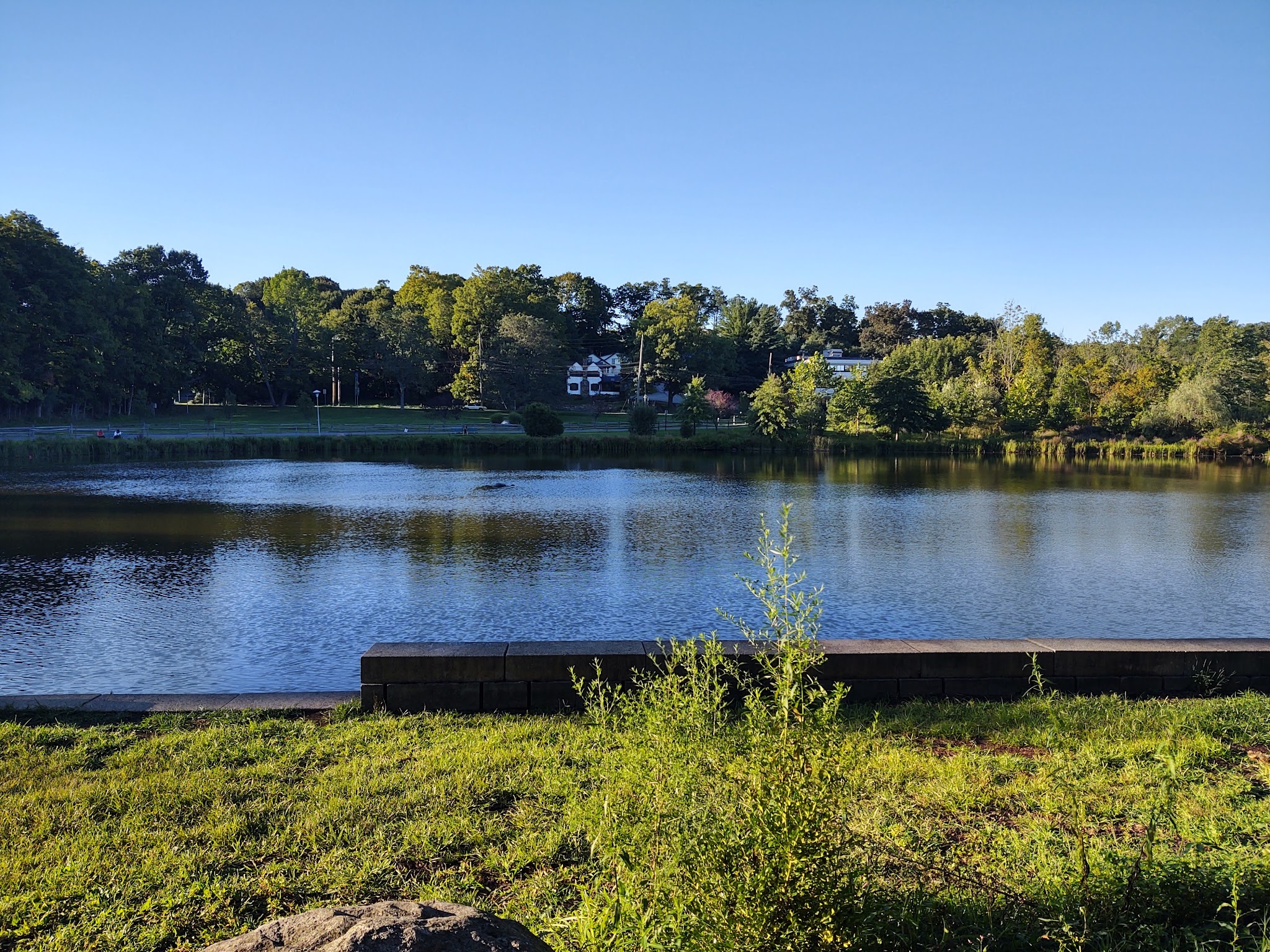 Leonard Park - Mt Kisco, NY