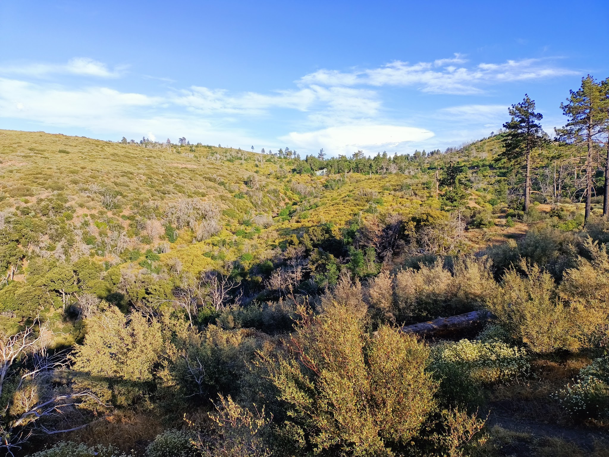 Storm Canyon Vista Trailhead - Mt Laguna, CA