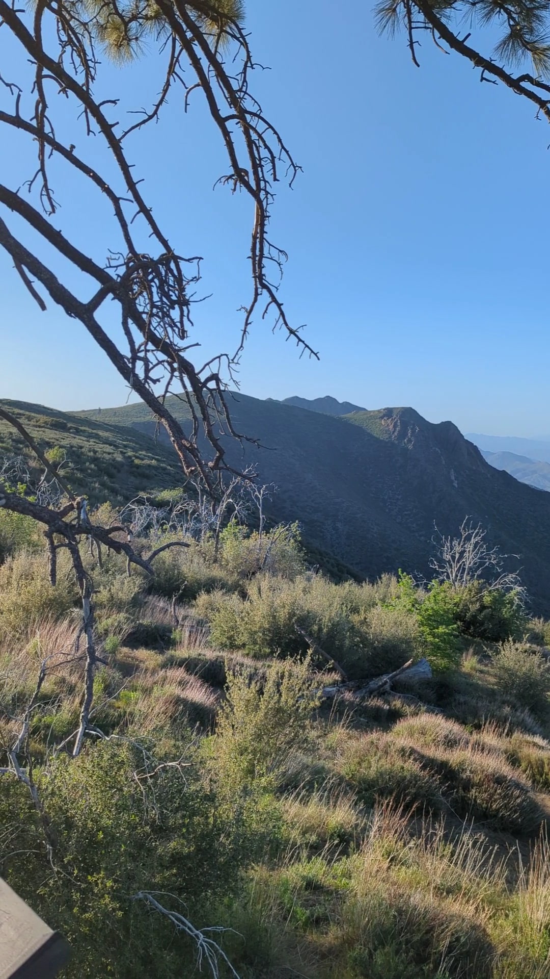 Storm Canyon Vista Trailhead - Mt Laguna, CA