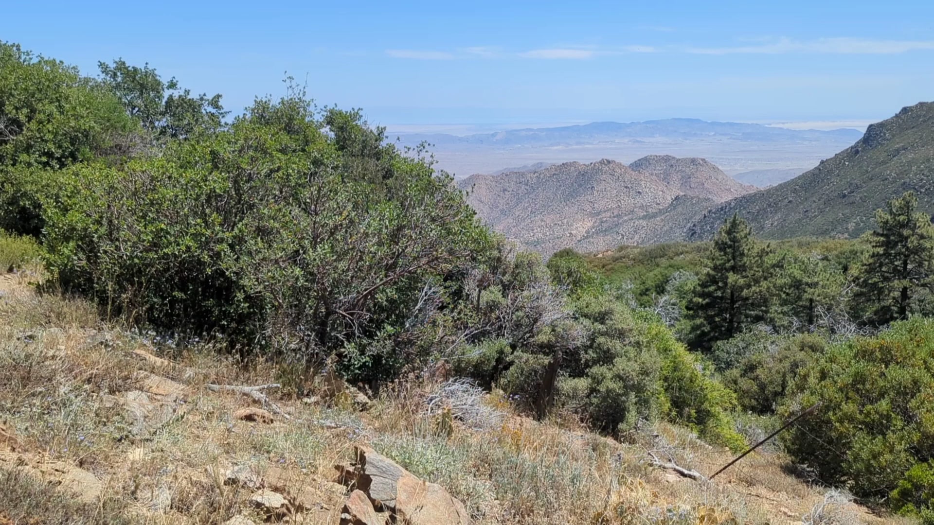 Desert View Trail - Mt Laguna, CA