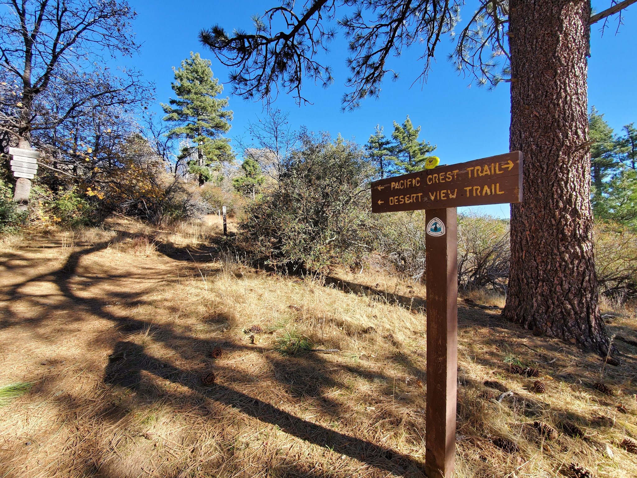 Desert View Trail - Mt Laguna, CA