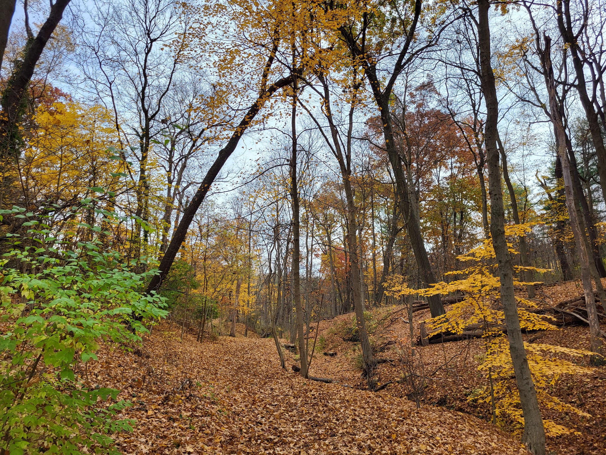 Bird Park - Mt. Lebanon, PA