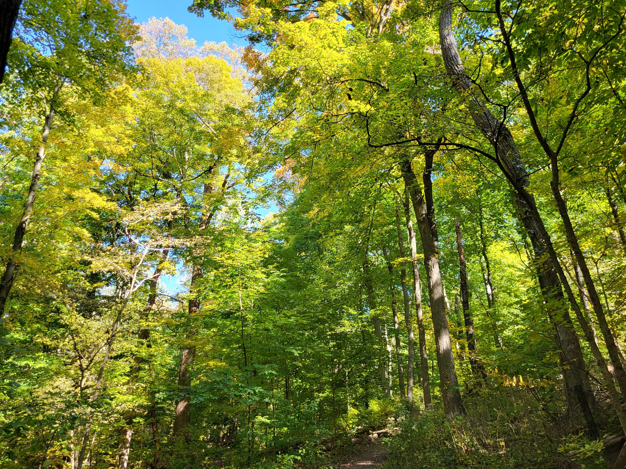 Bird Park - Mt. Lebanon, PA