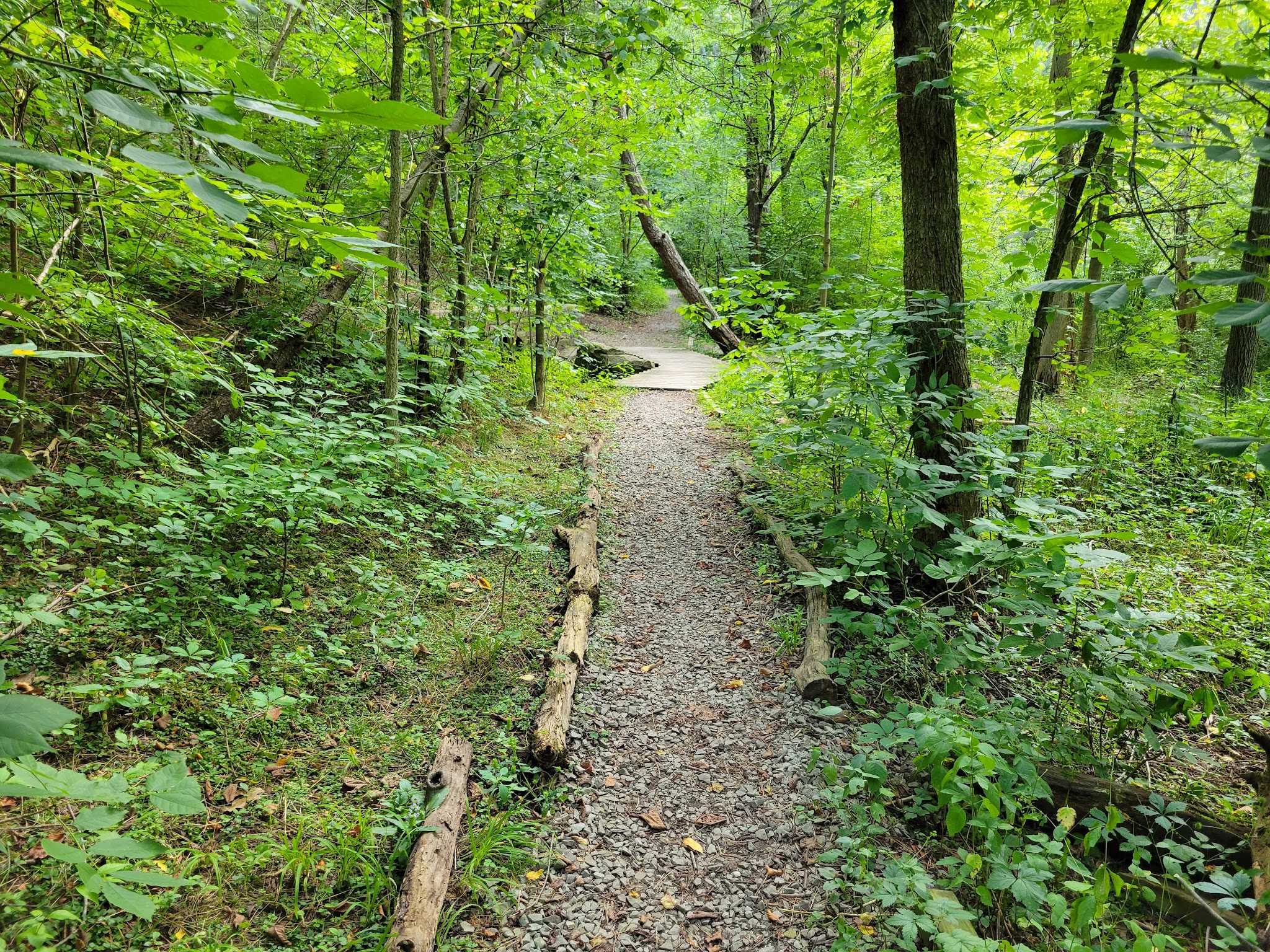 Bird Park - Mt. Lebanon, PA