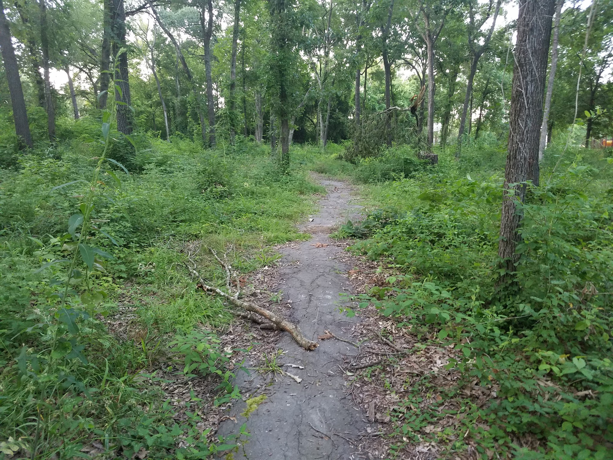 R.L. Jurney Park - Mt Pleasant, TX