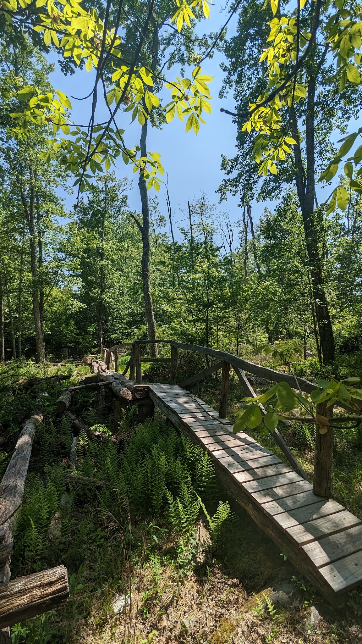 Knauf preserve trailhead - Mt Pocono, PA