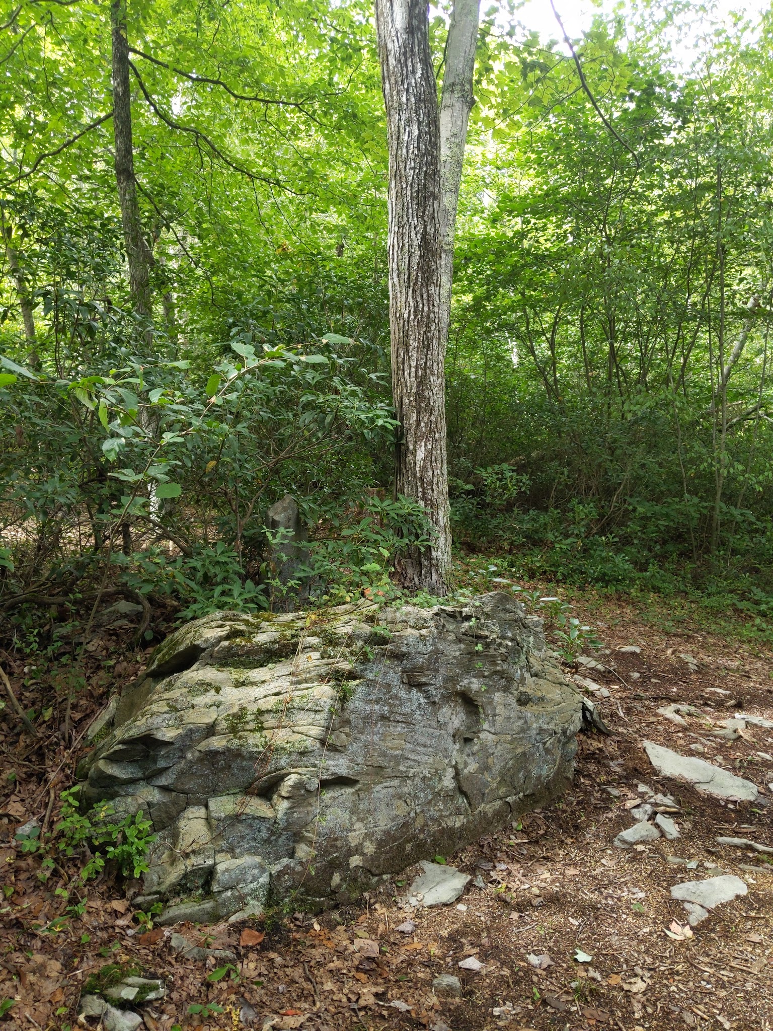Knauf preserve trailhead - Mt Pocono, PA