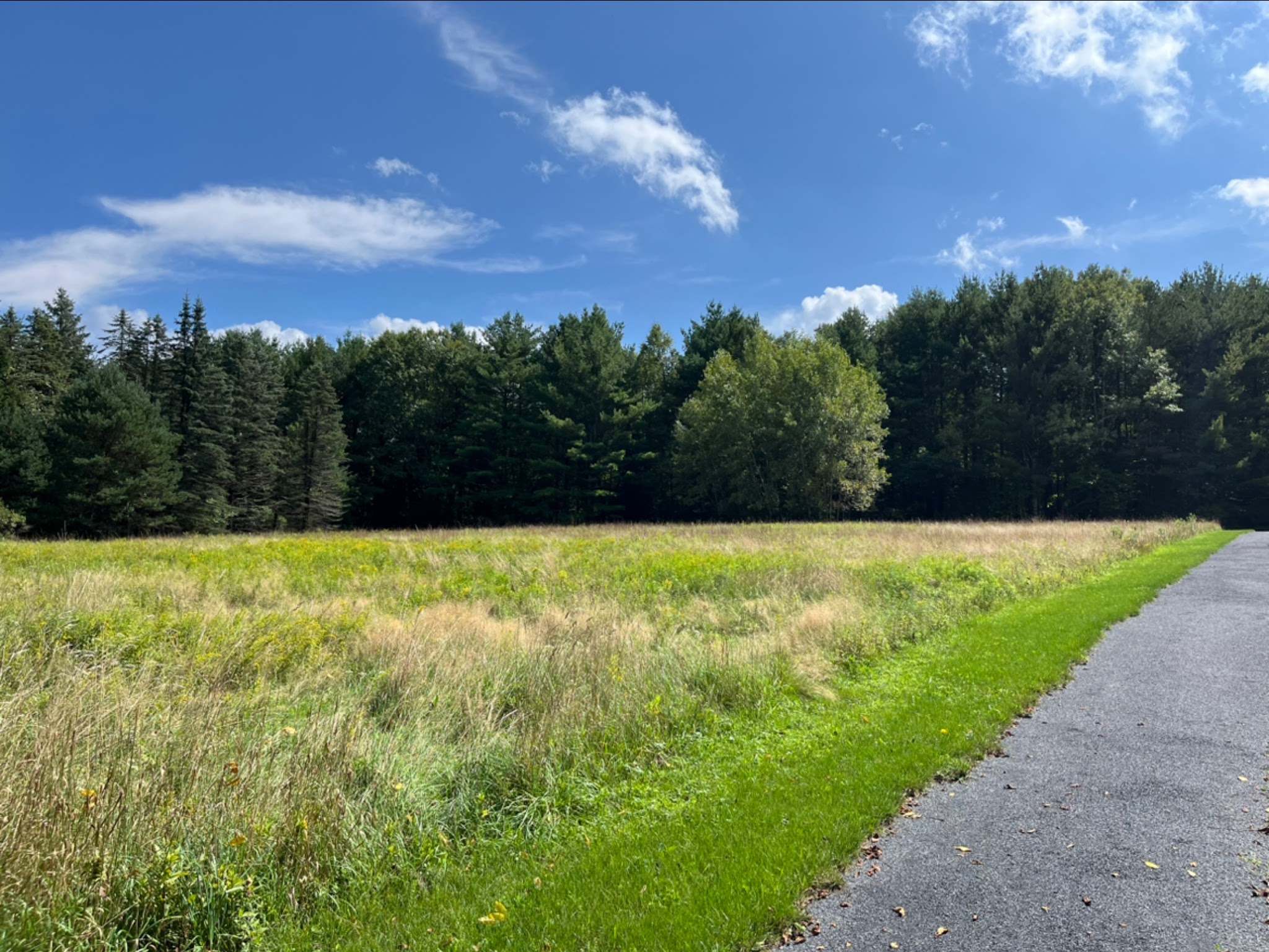 Knauf preserve trailhead - Mt Pocono, PA