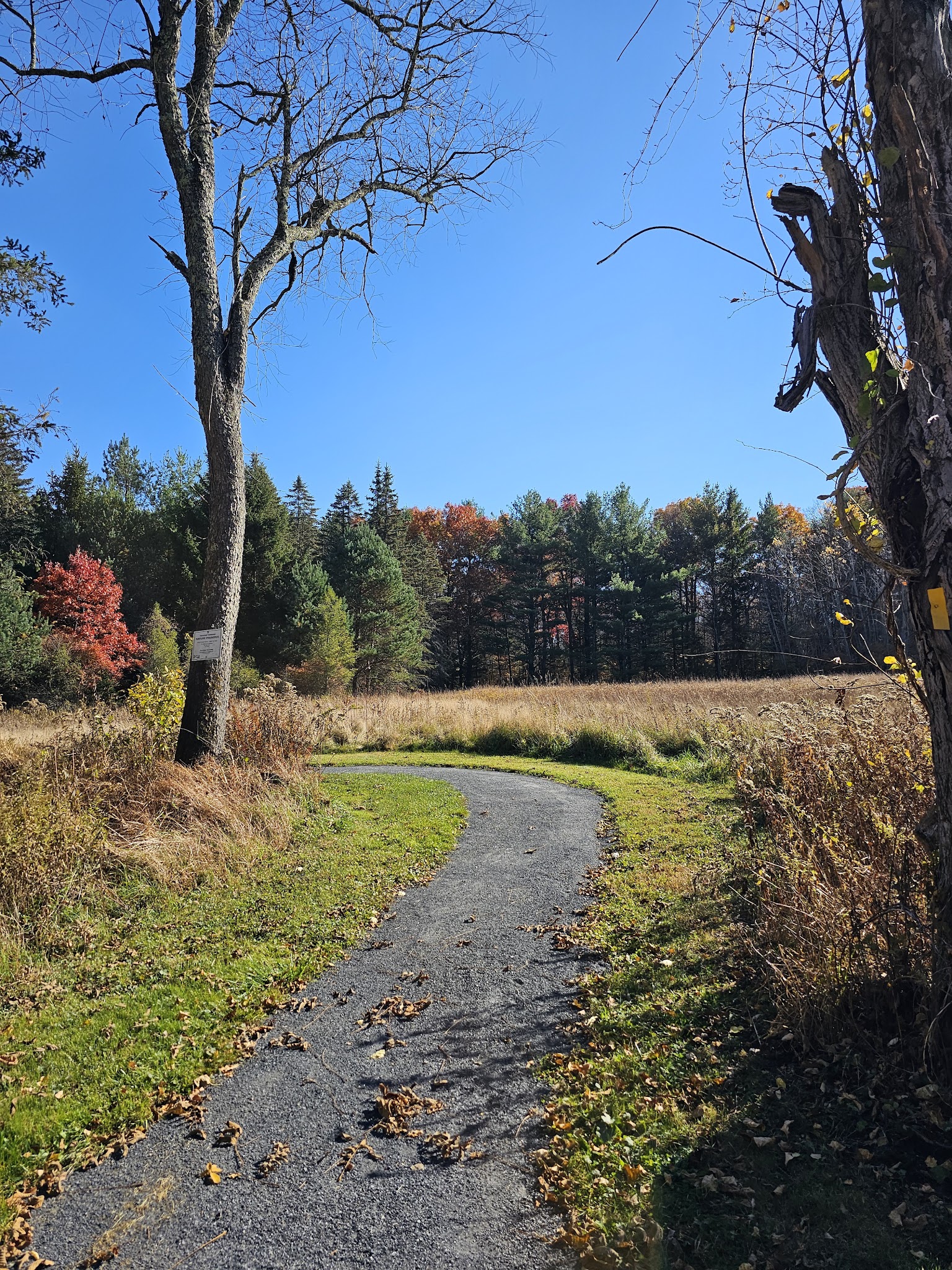 Knauf preserve trailhead - Mt Pocono, PA