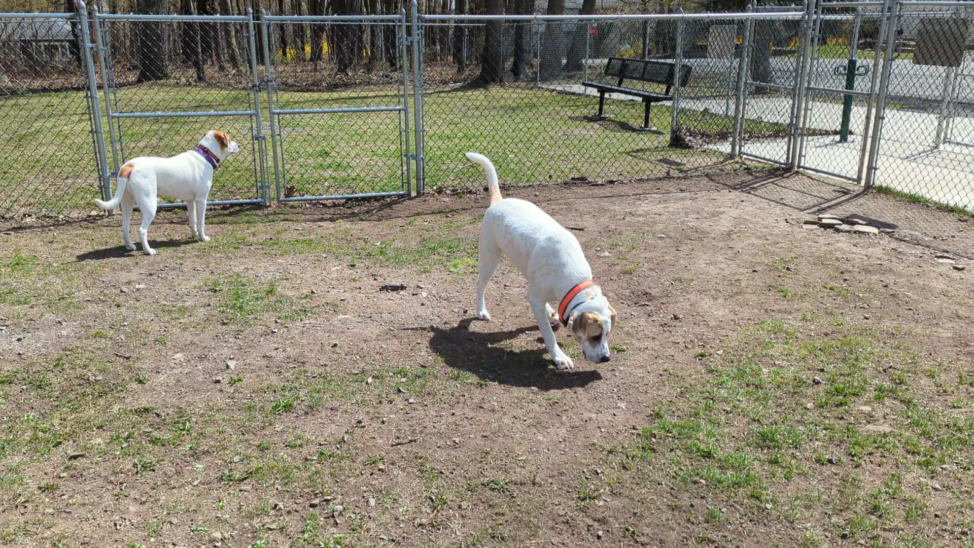 Borough Hall Park - Mt Pocono, PA