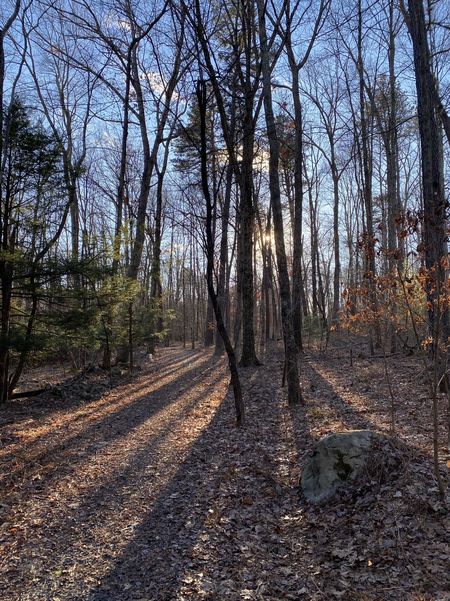 Merry Hill Trail - Mt Pocono, PA
