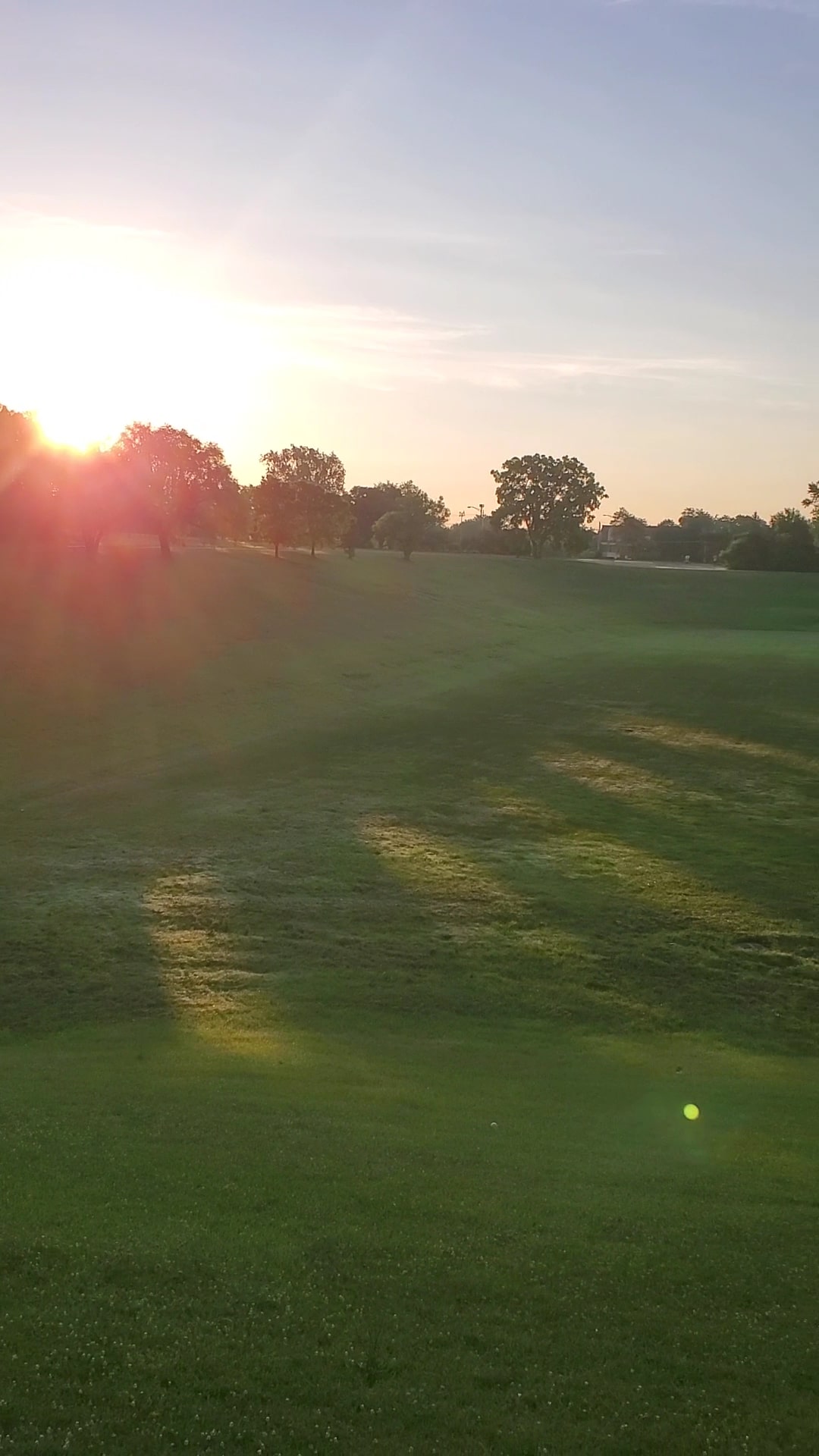 Melas Park Canine Commons - Mt Prospect, IL