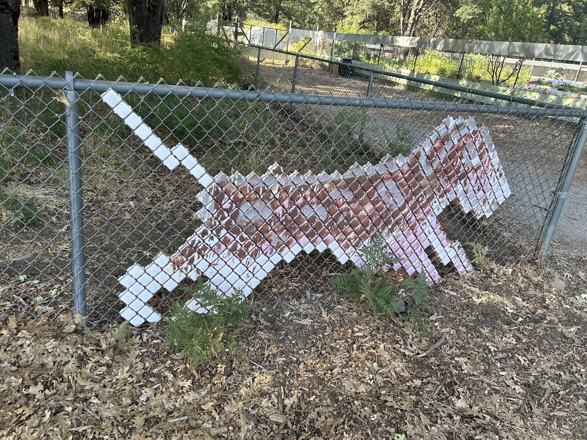 Shastice dog park - Mt Shasta, CA