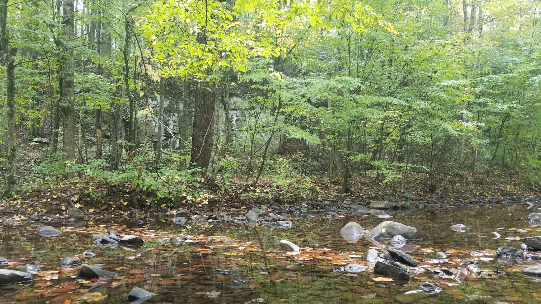 North River Campground - Mt Solon, VA