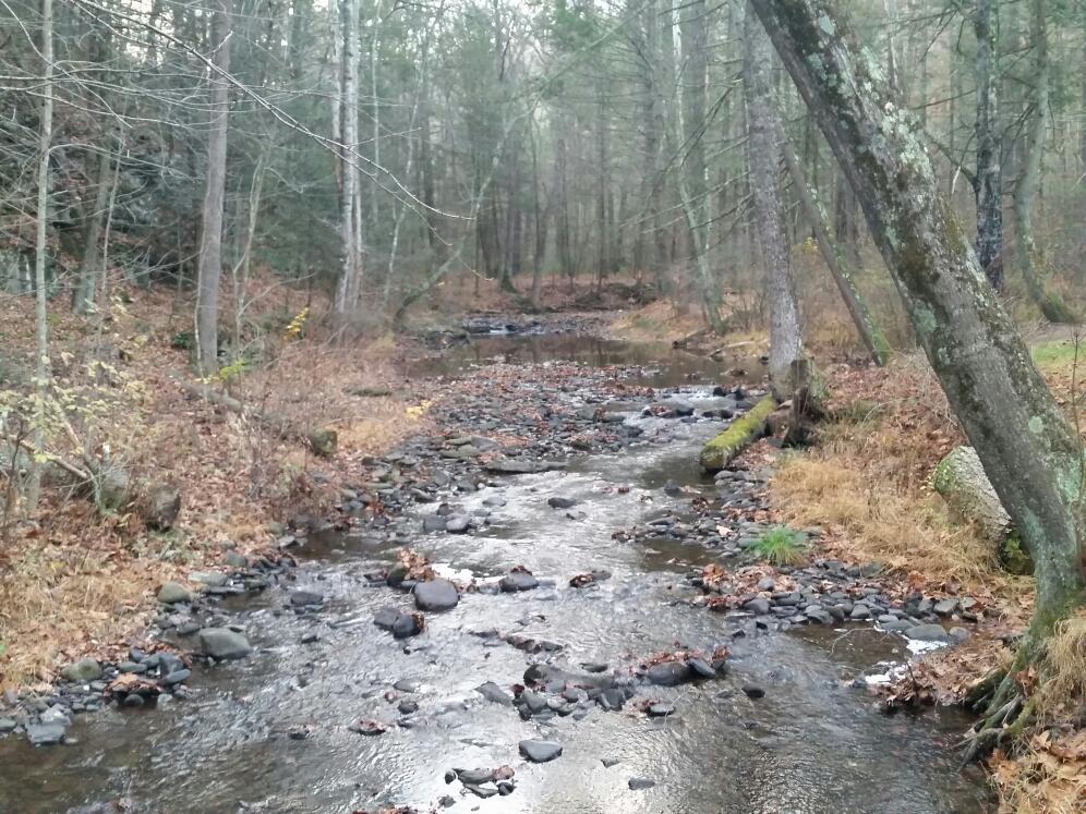 North River Campground - Mt Solon, VA