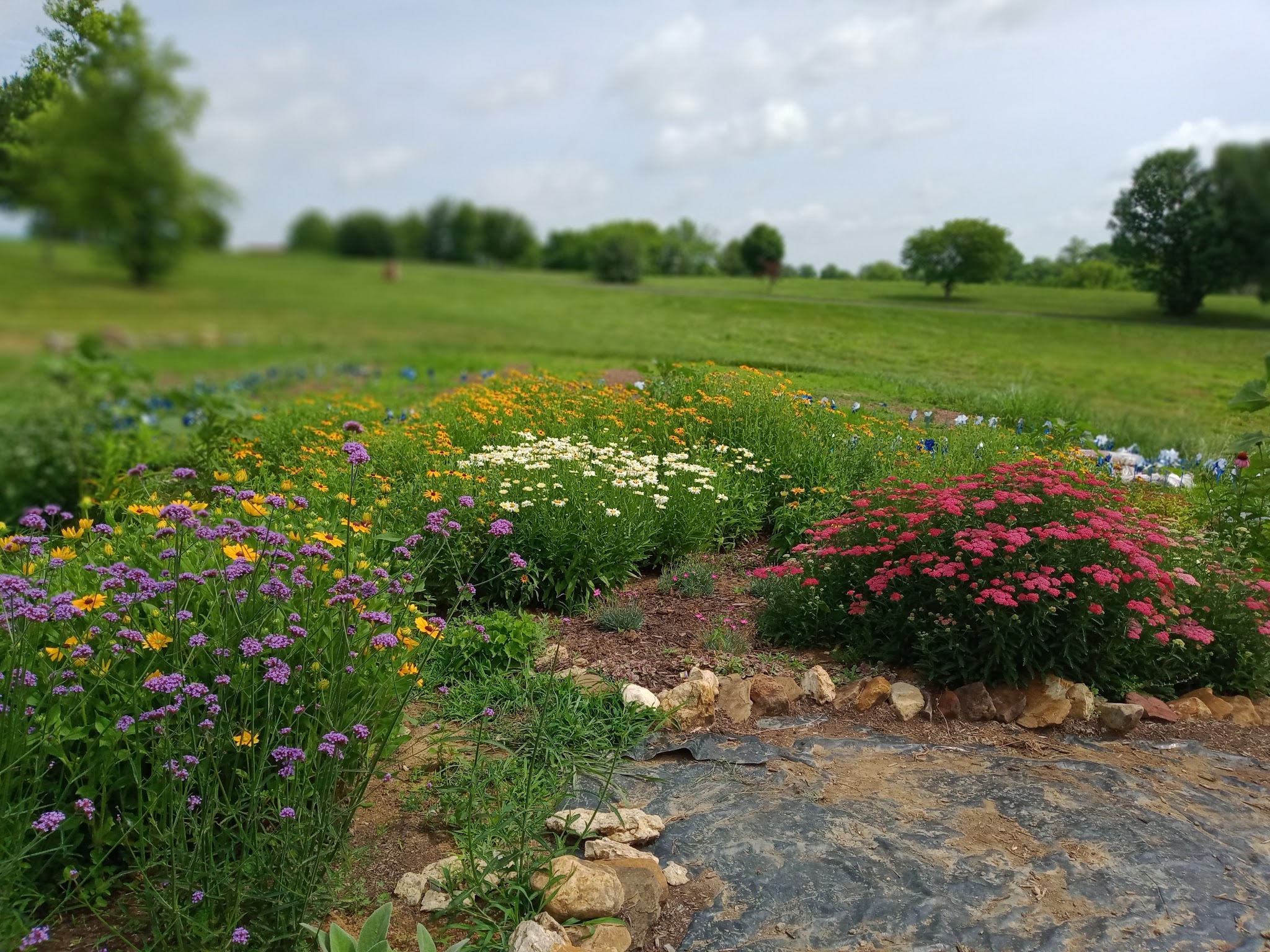 Botts Park - Mt Sterling, KY