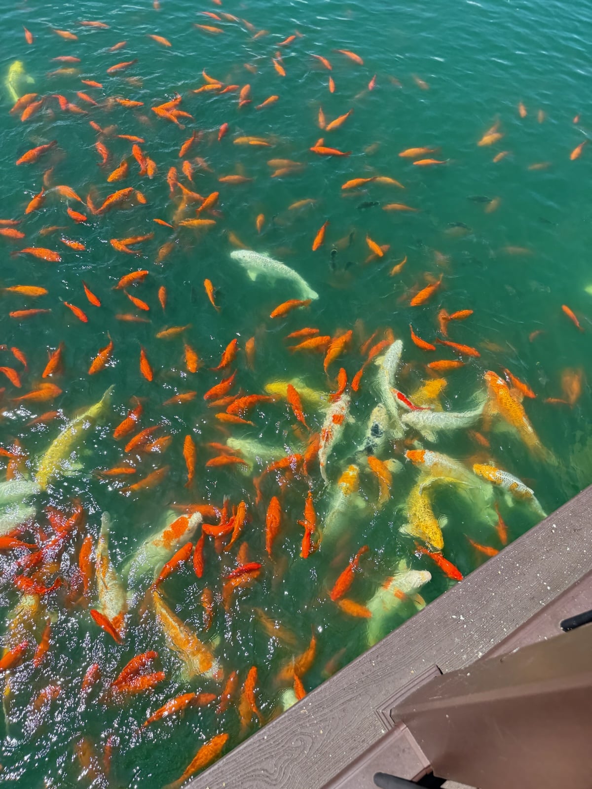 Mt. Washington Sports Complex - Mt Washington, KY