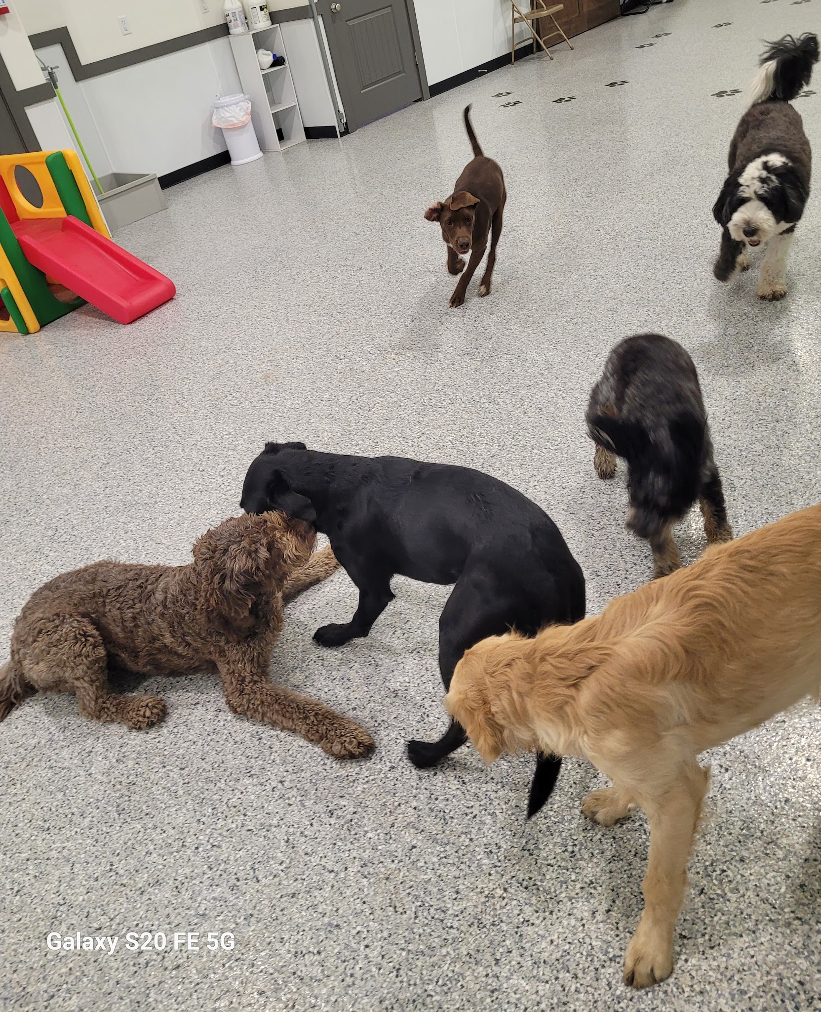Hidden Acres Dog Resort - Mulvane, KS