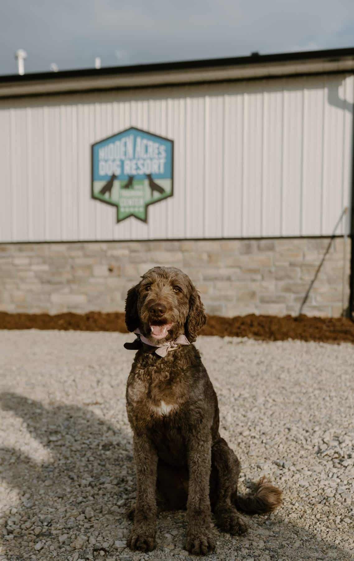 Hidden Acres Dog Resort - Mulvane, KS