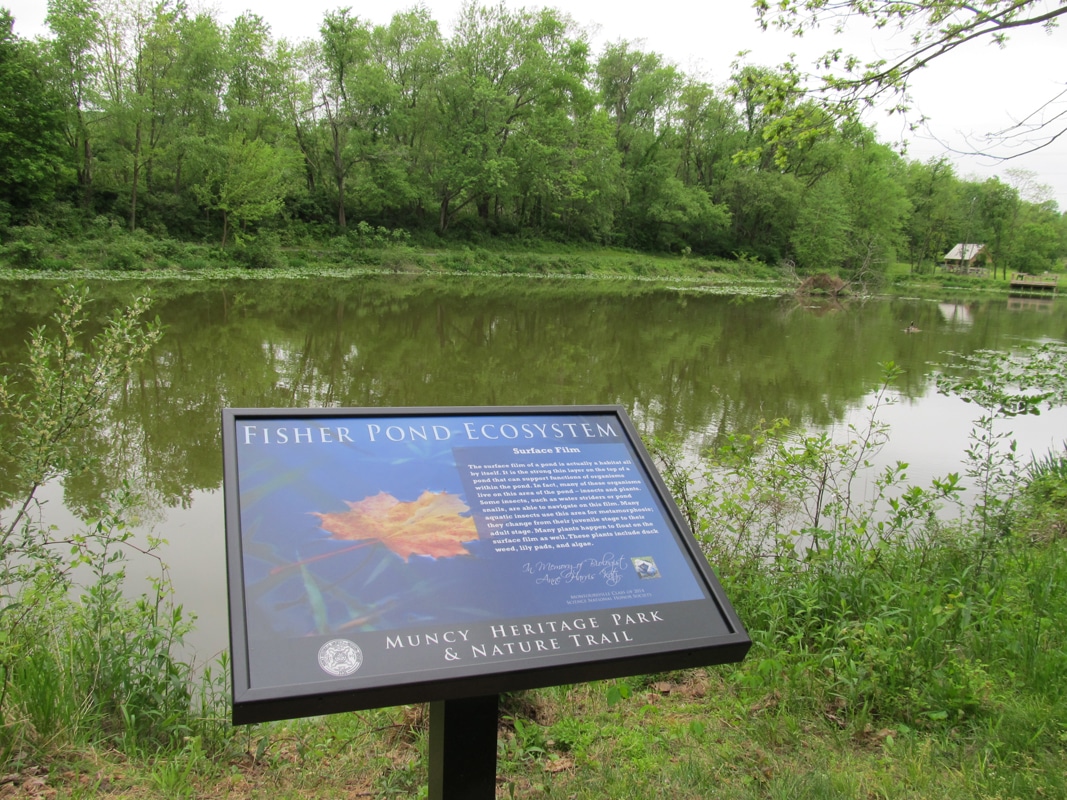 Muncy Heritage Park and Nature Trail - Muncy, PA