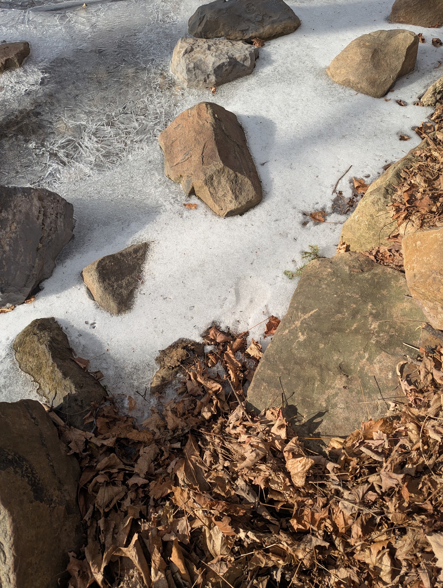 Margaret E. Waldron Park - Muncy, PA