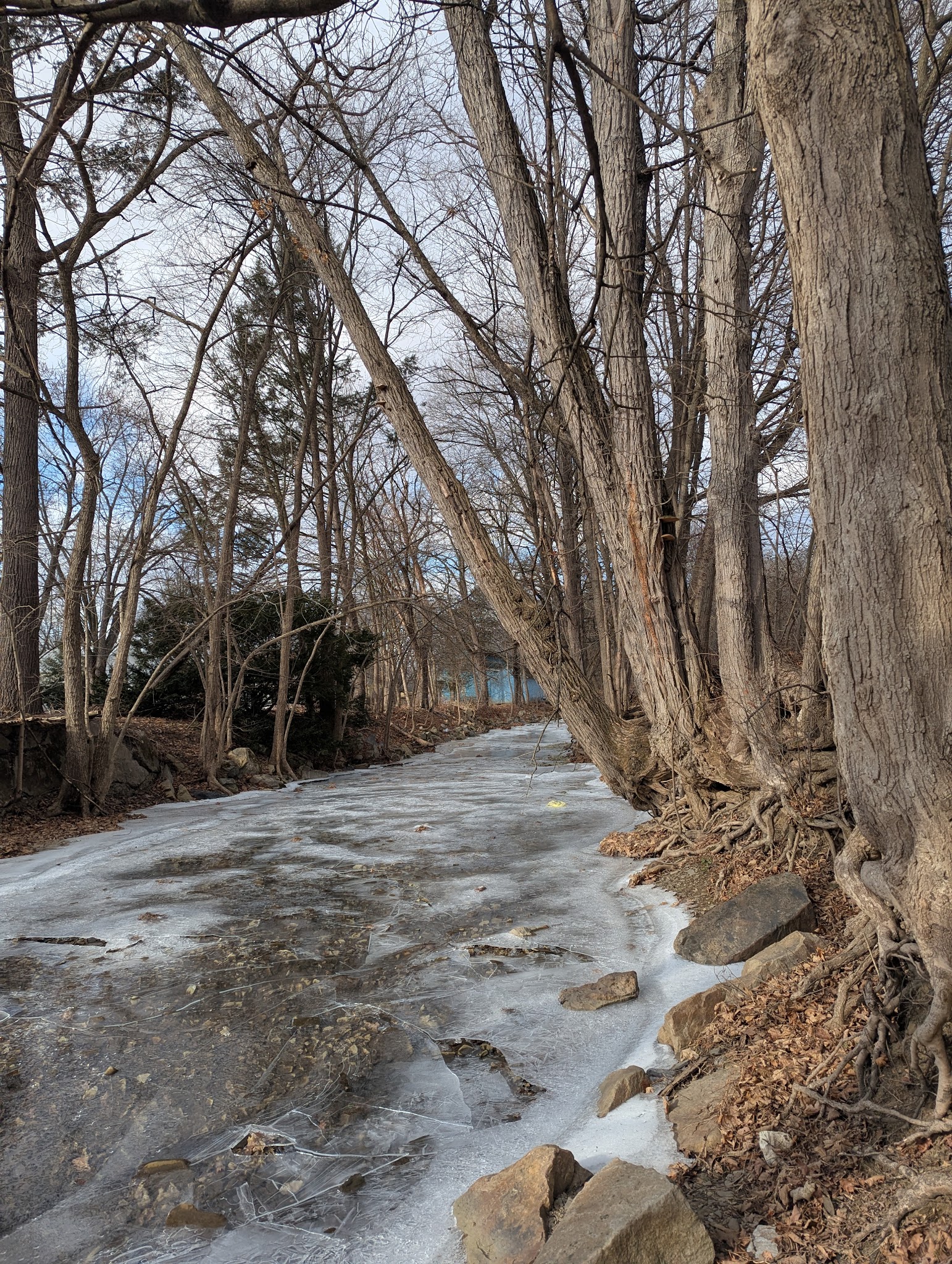 Margaret E. Waldron Park - Muncy, PA