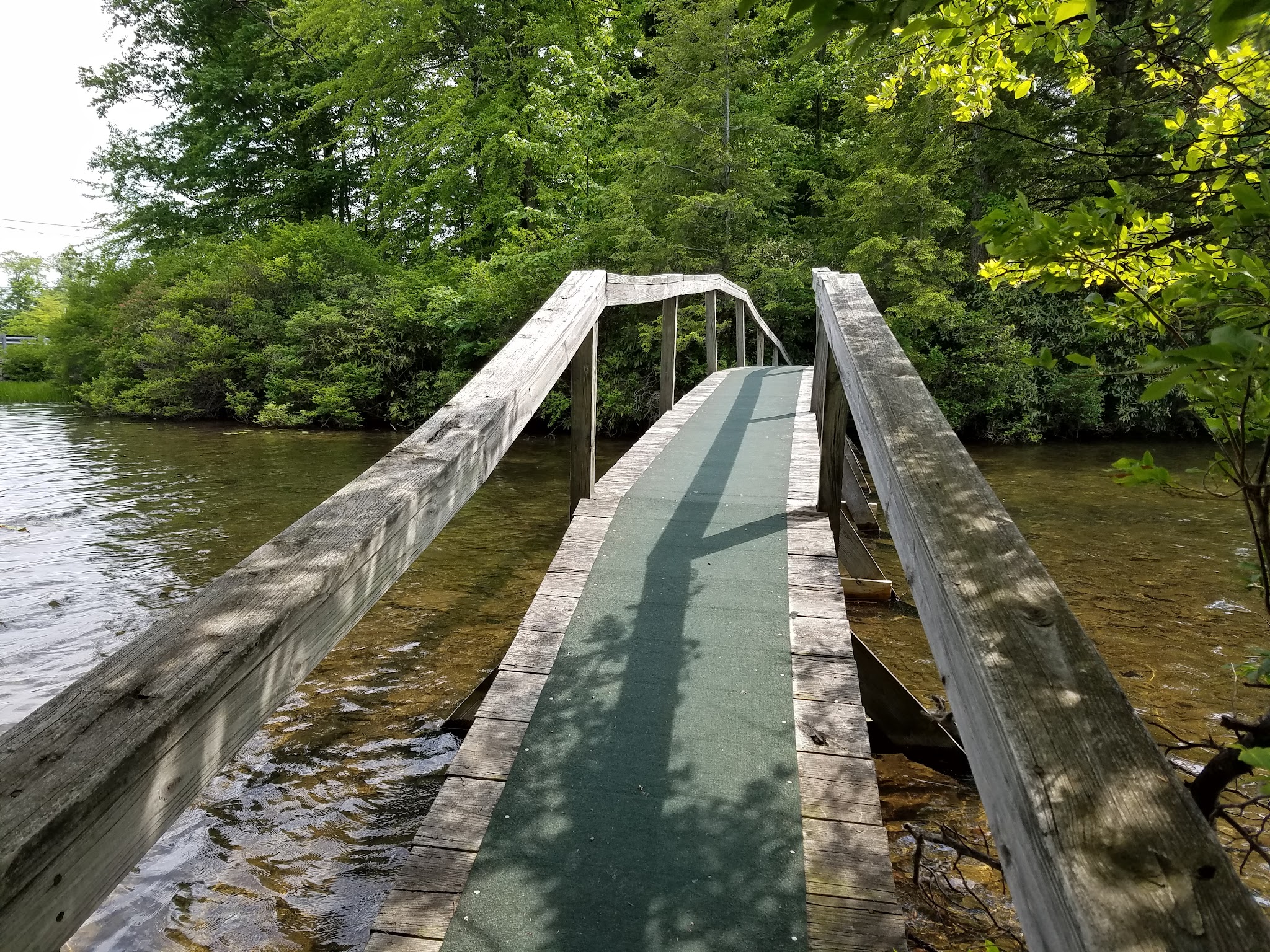 The Laurel Path - Muncy Valley, PA