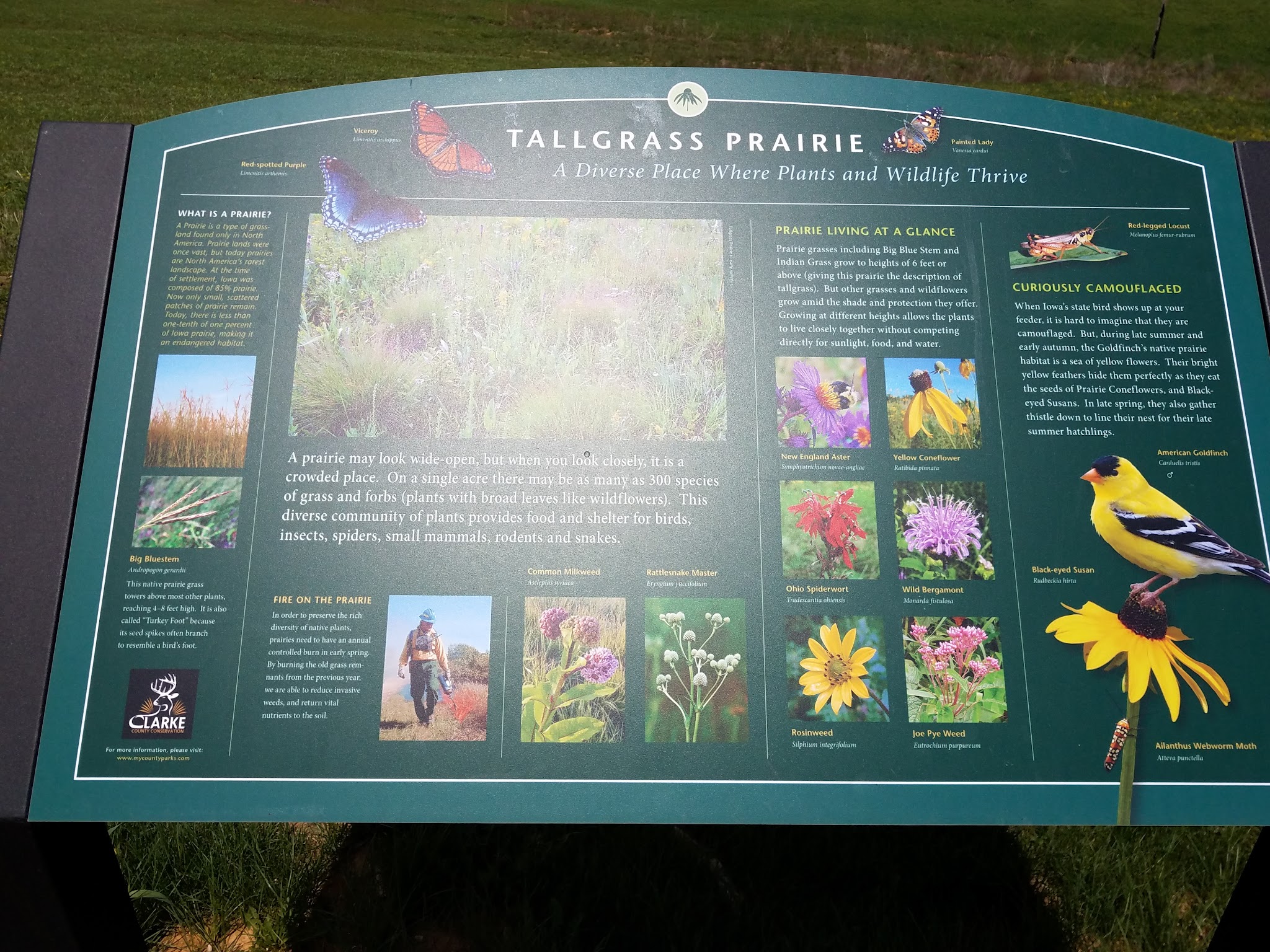 Murray Roadside Park - Murray, IA