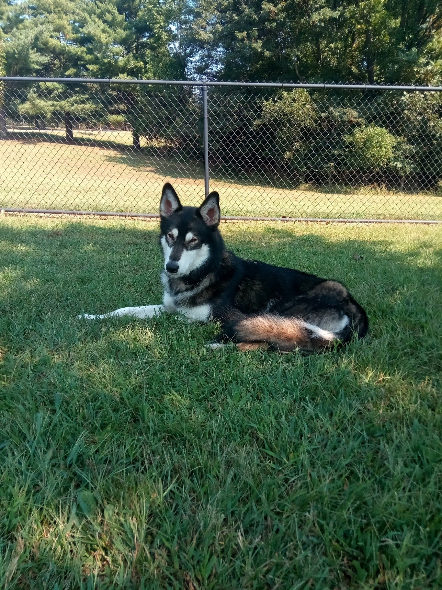 Guenther Willows Dog Park - Murrieta, CA