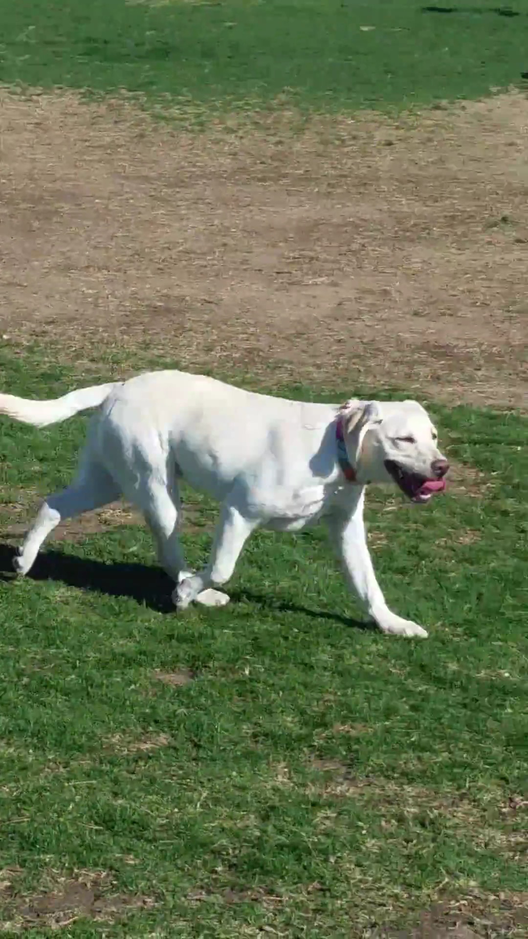 Heroes Park, Valley-Wide Recreation and Park District - Murrieta, CA