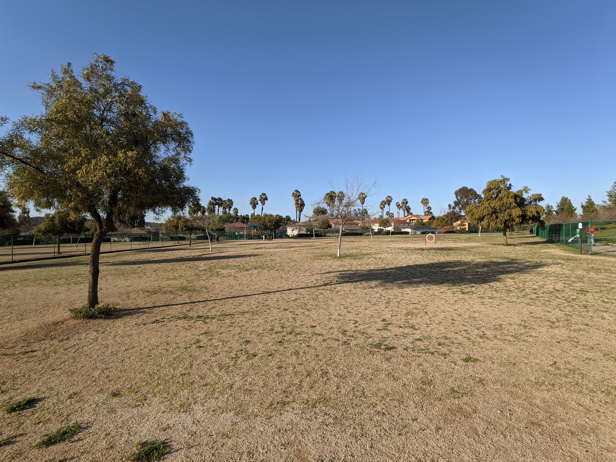 Torrey Pines Dog Park - Murrieta, CA
