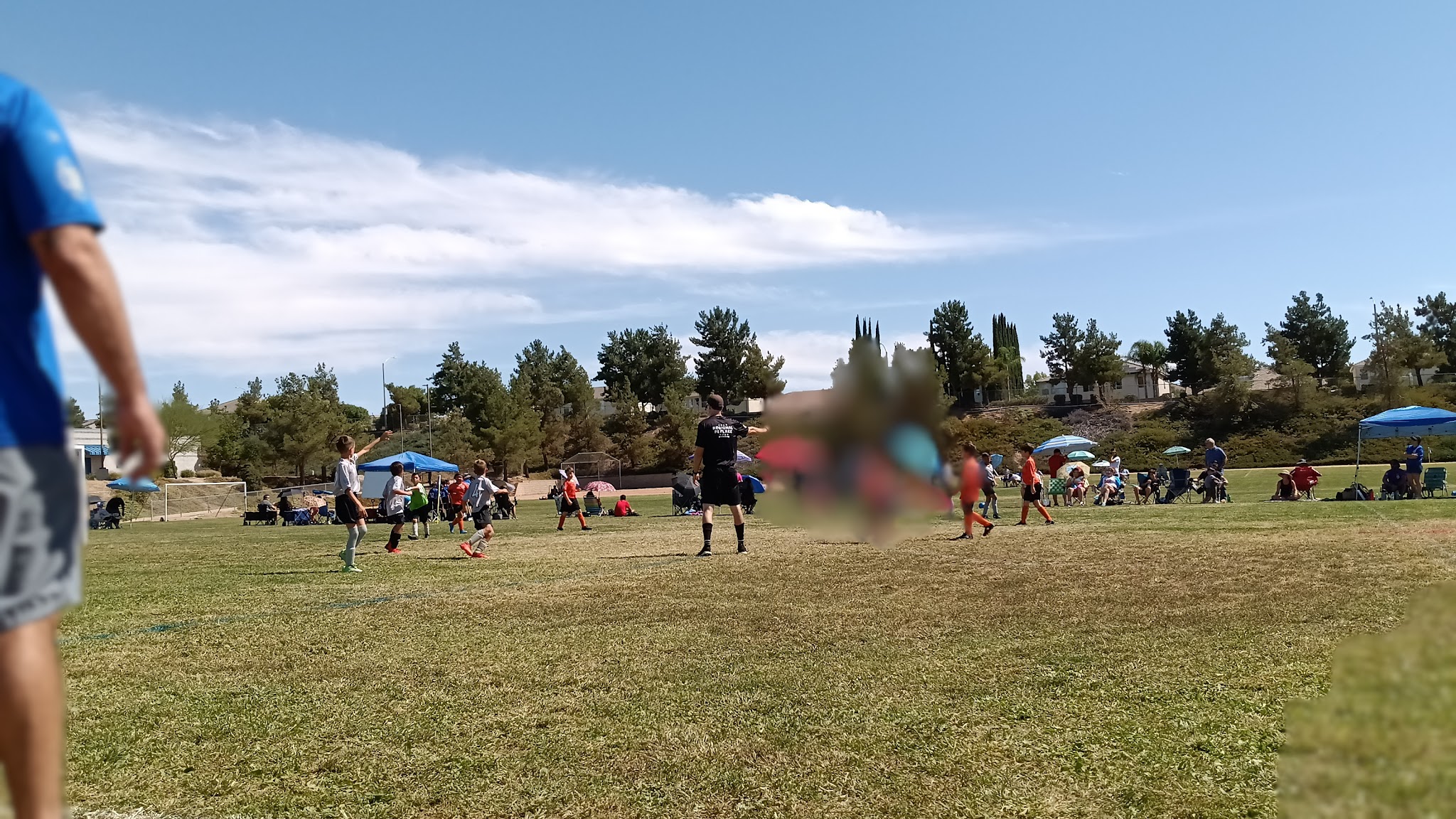 Torrey Pines Dog Park - Murrieta, CA