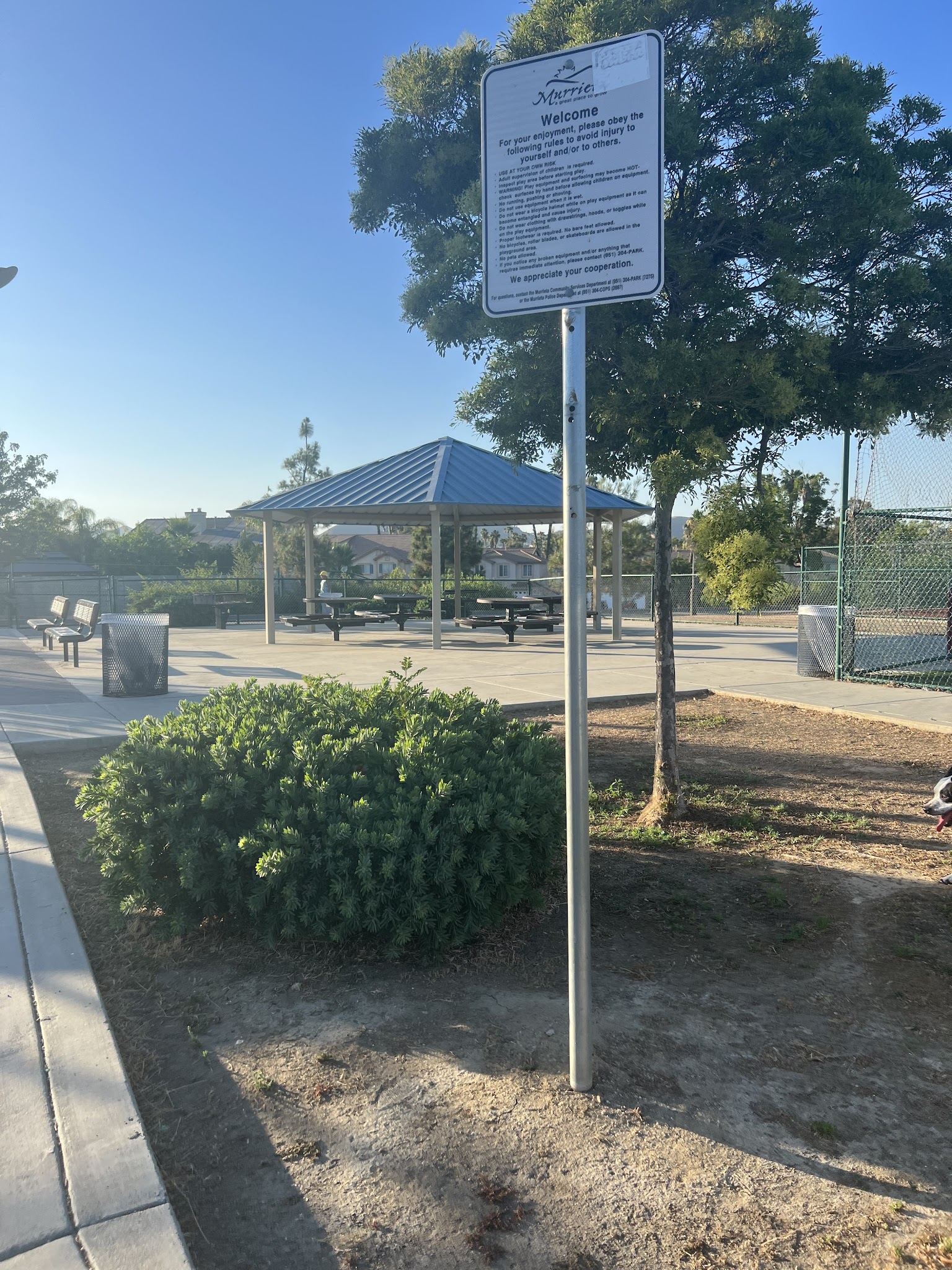Torrey Pines Dog Park - Murrieta, CA