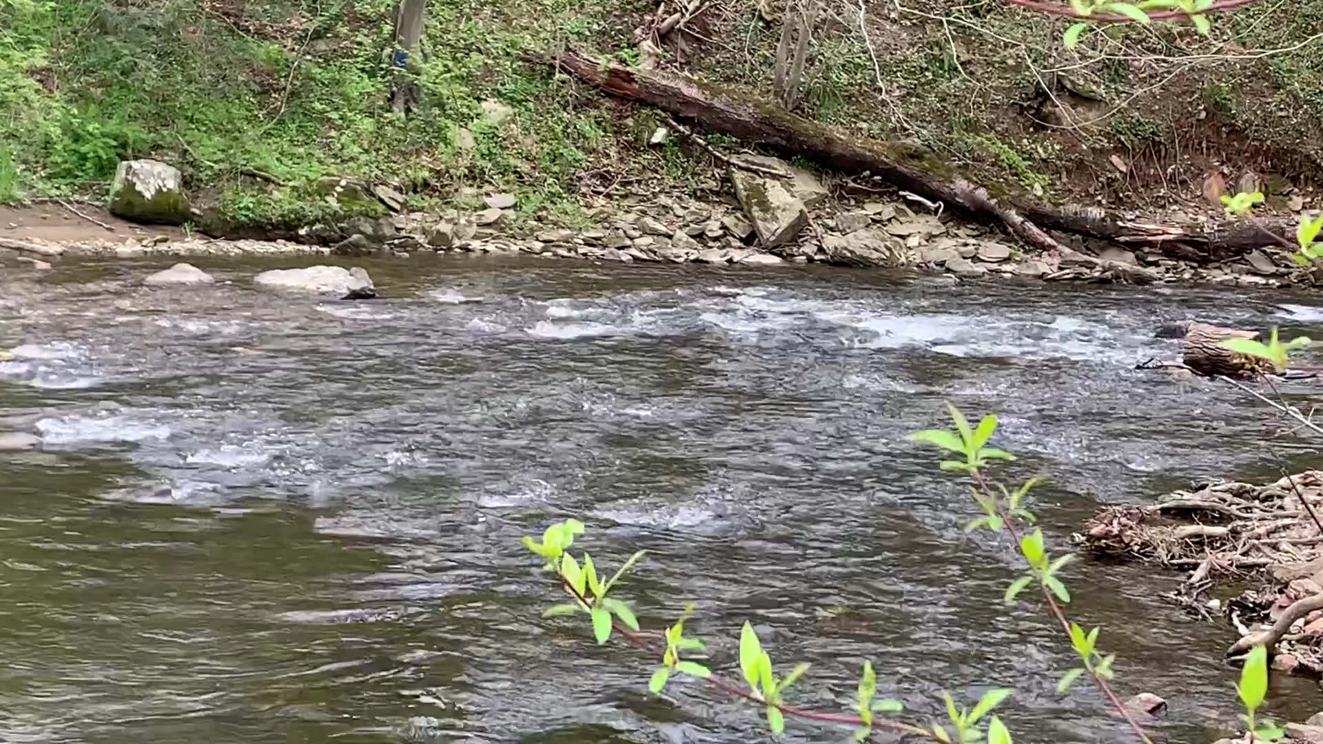 Doub's Meadow Park - Myersville, MD