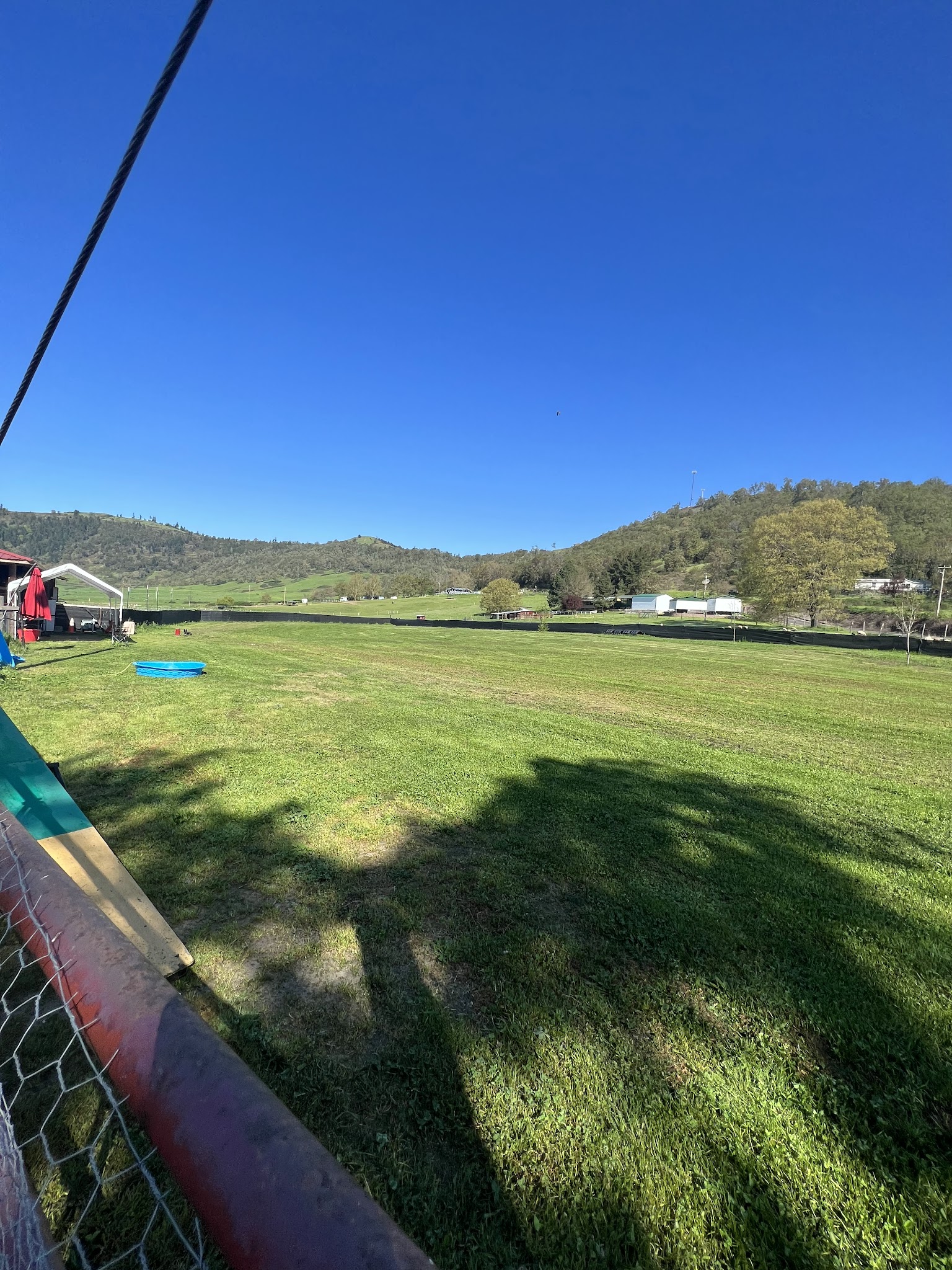 Hightailin' Pup - Myrtle Creek, OR