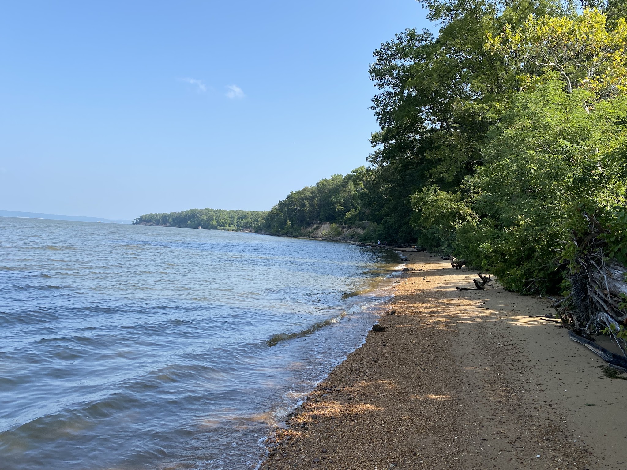 Purse (Nanjemoy WMA) - Nanjemoy, MD