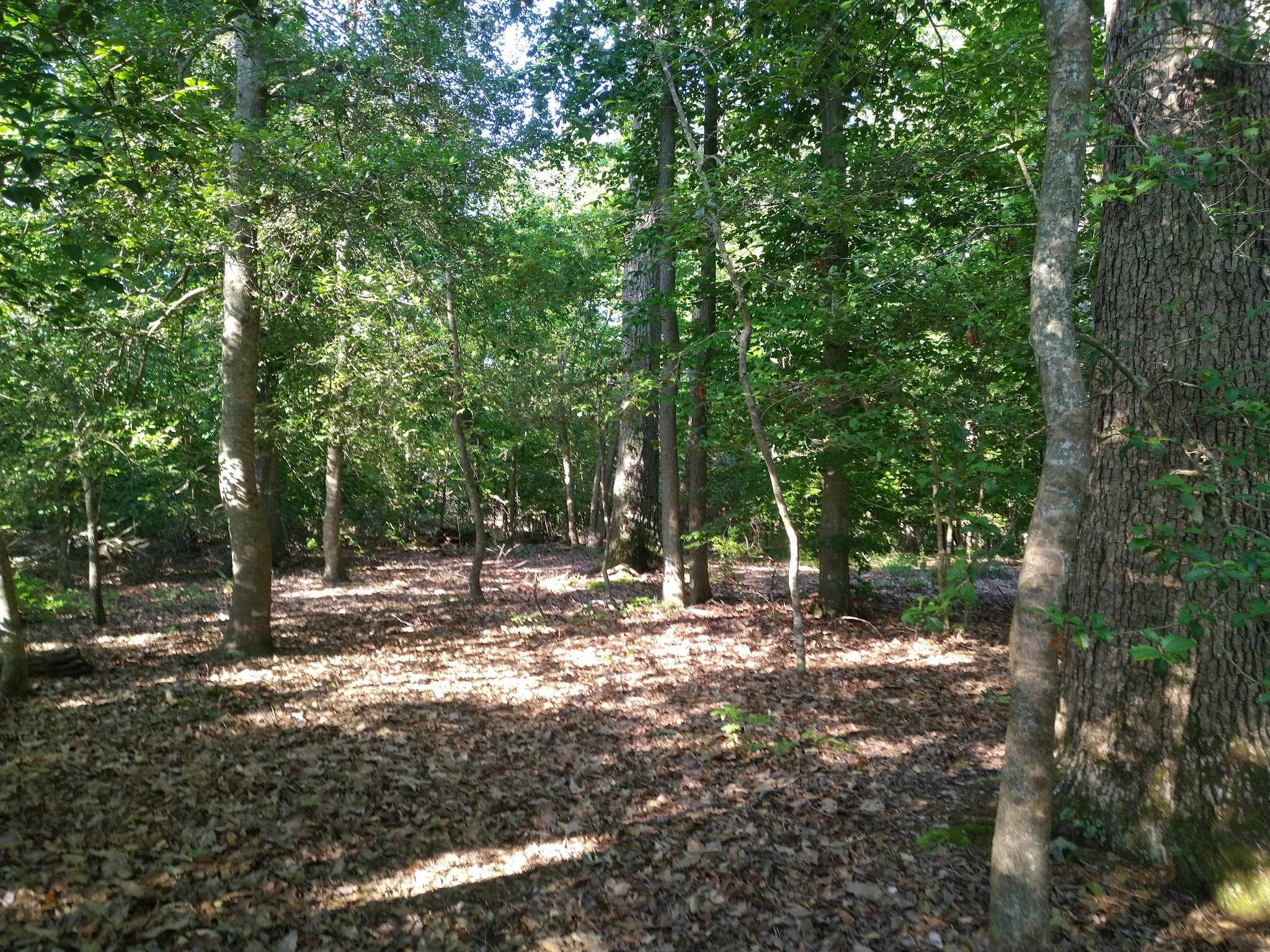 Purse State Park - Nanjemoy, MD