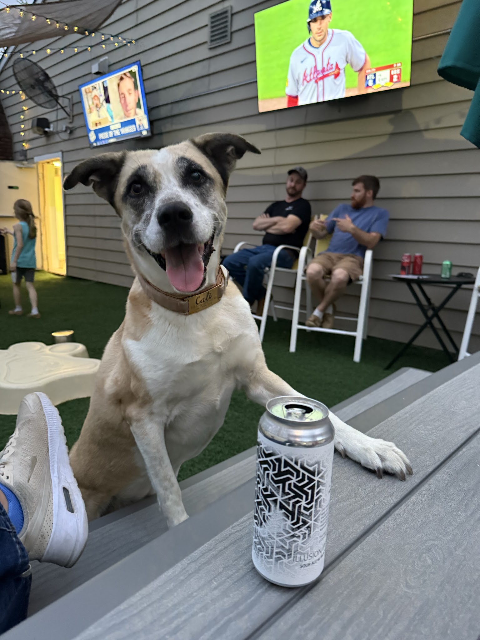 Bark ‘n Brews - Nanuet, NY