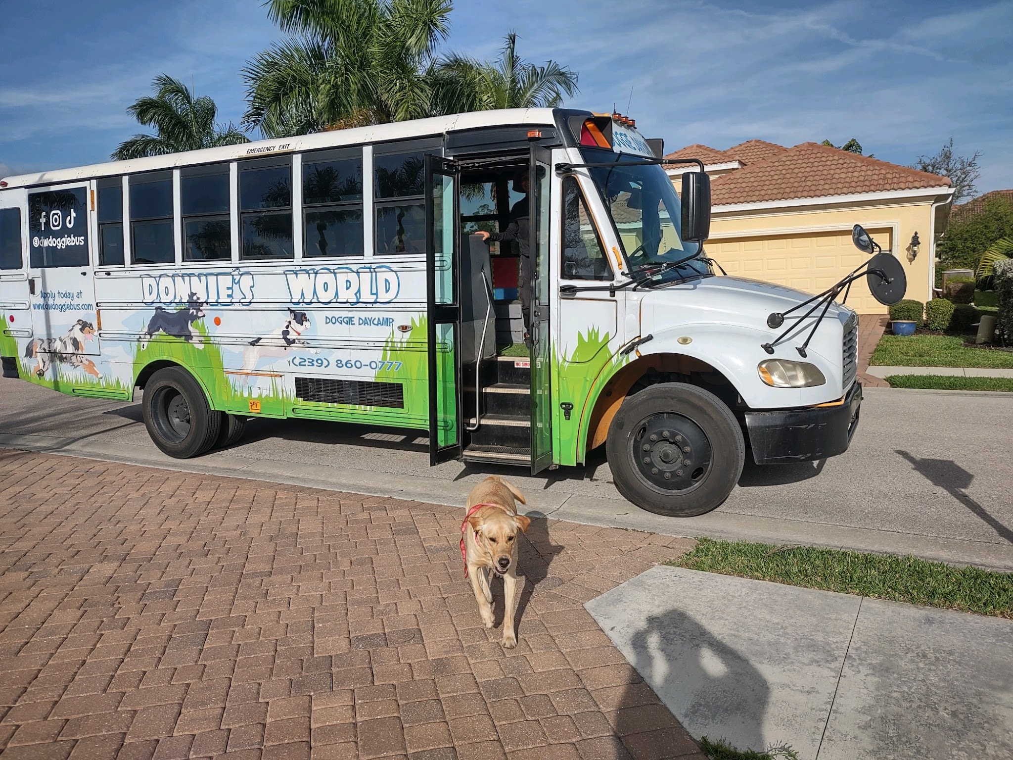 Donnie’s World LLC - Naples, FL