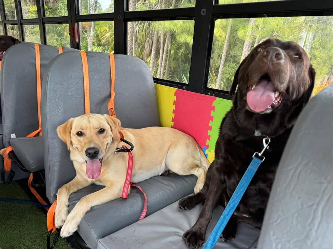 Donnie’s World LLC - Naples, FL