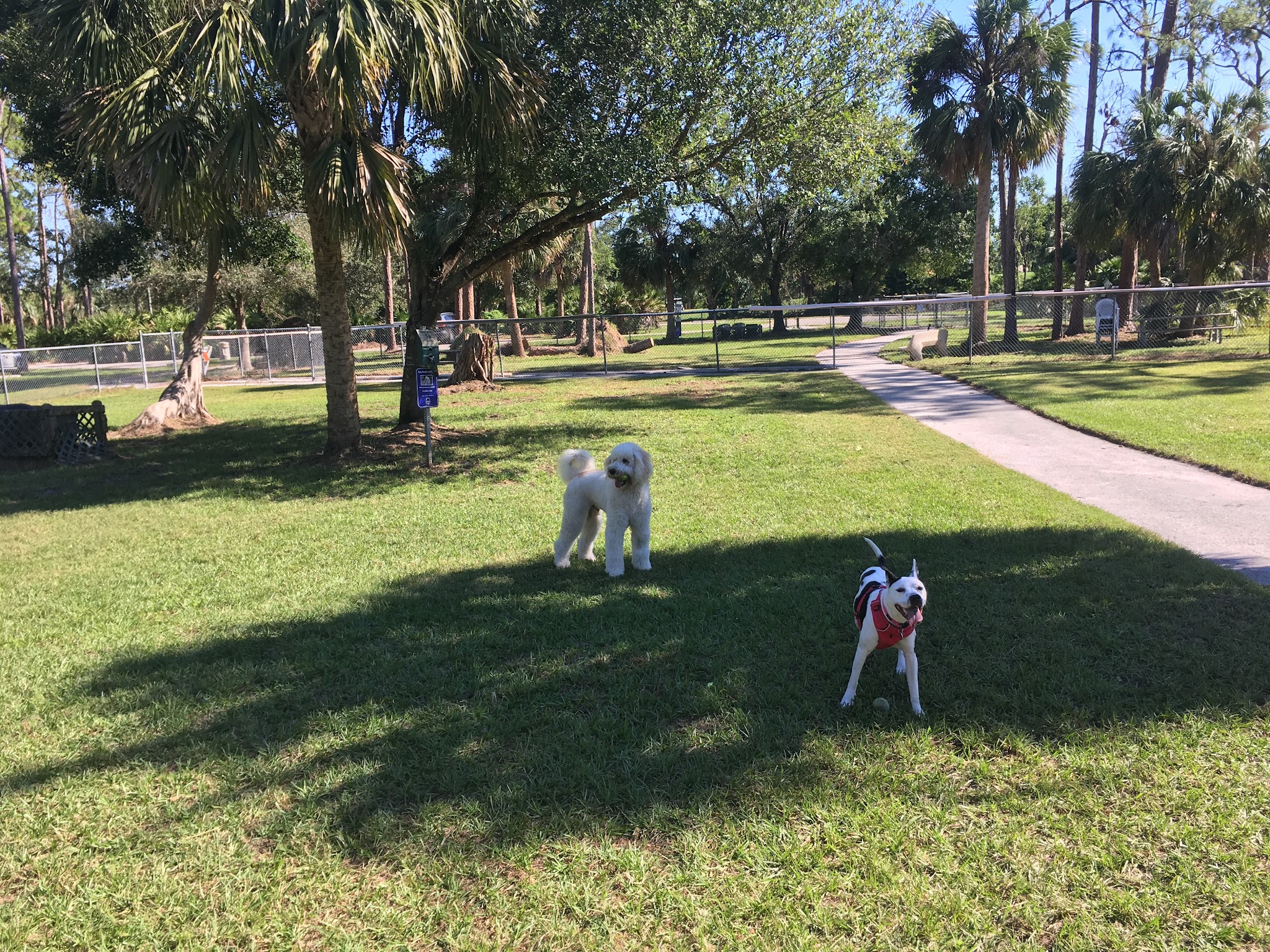 Rover Run - Naples, FL