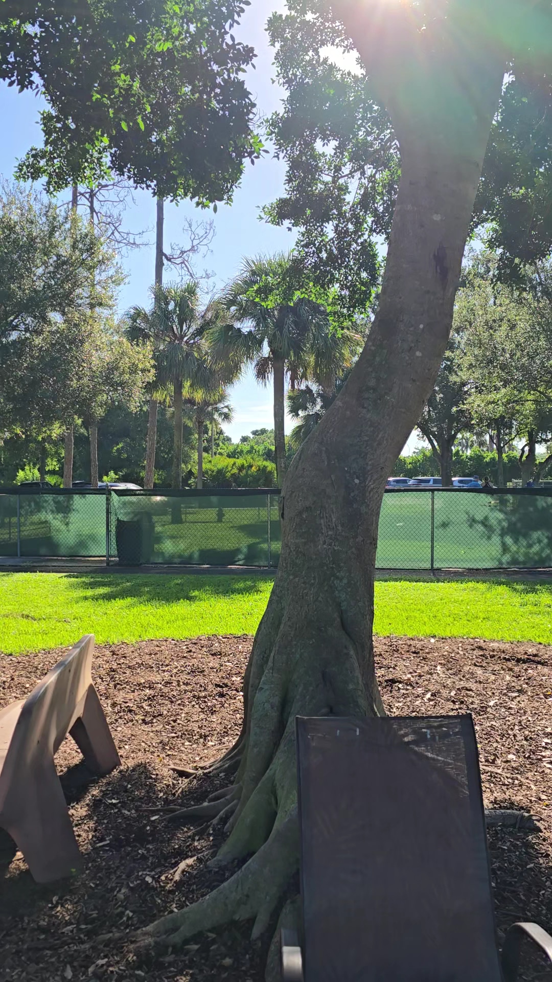 Rover Run - Naples, FL