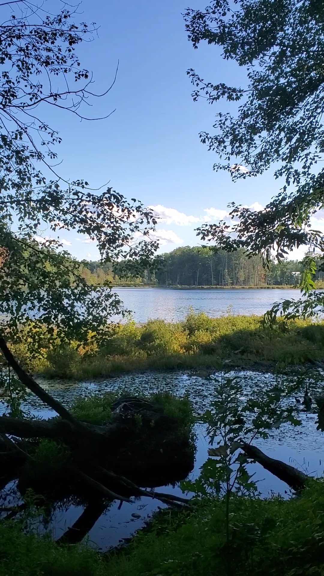 Lovewell Pond Yudicky Farm - Conservation Area - Nashua, NH