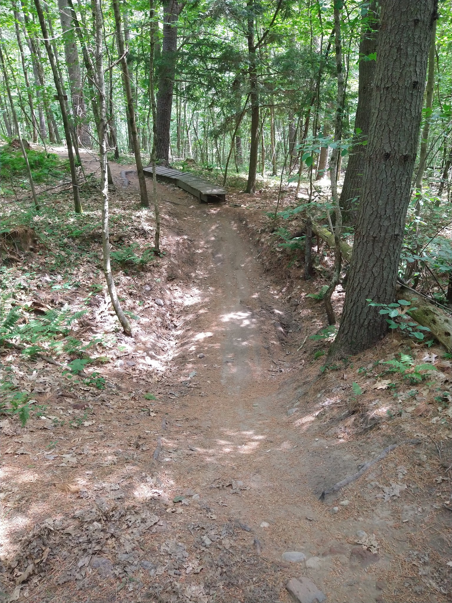 Lovewell Pond Yudicky Farm - Conservation Area - Nashua, NH