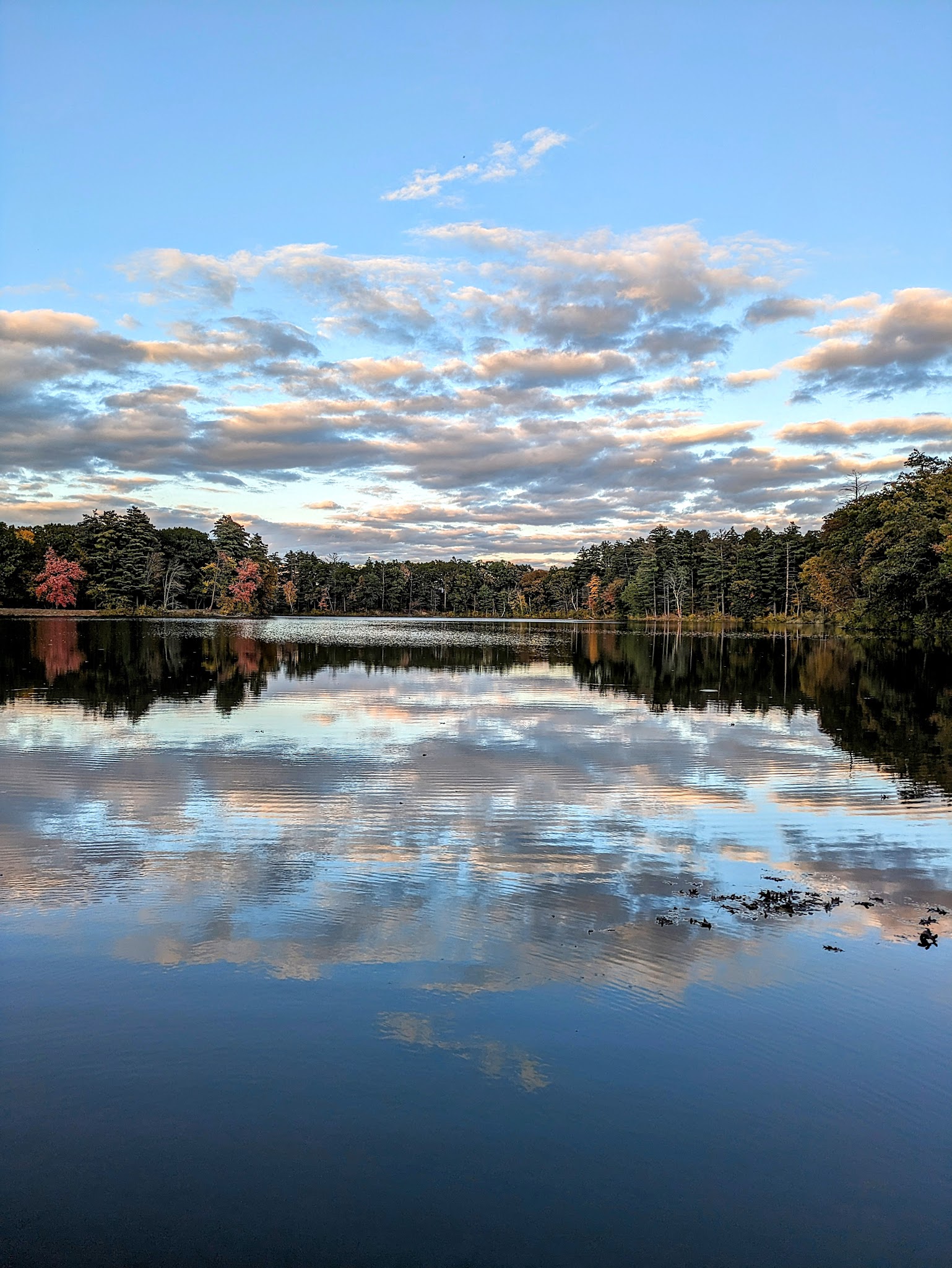 Mine Falls Park - Nashua, NH