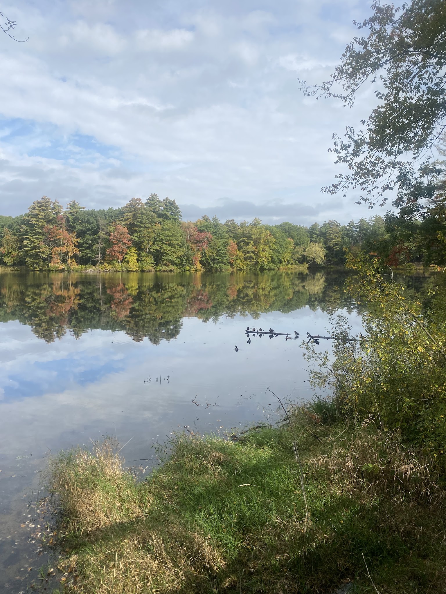 Mine falls trail head - Nashua, NH
