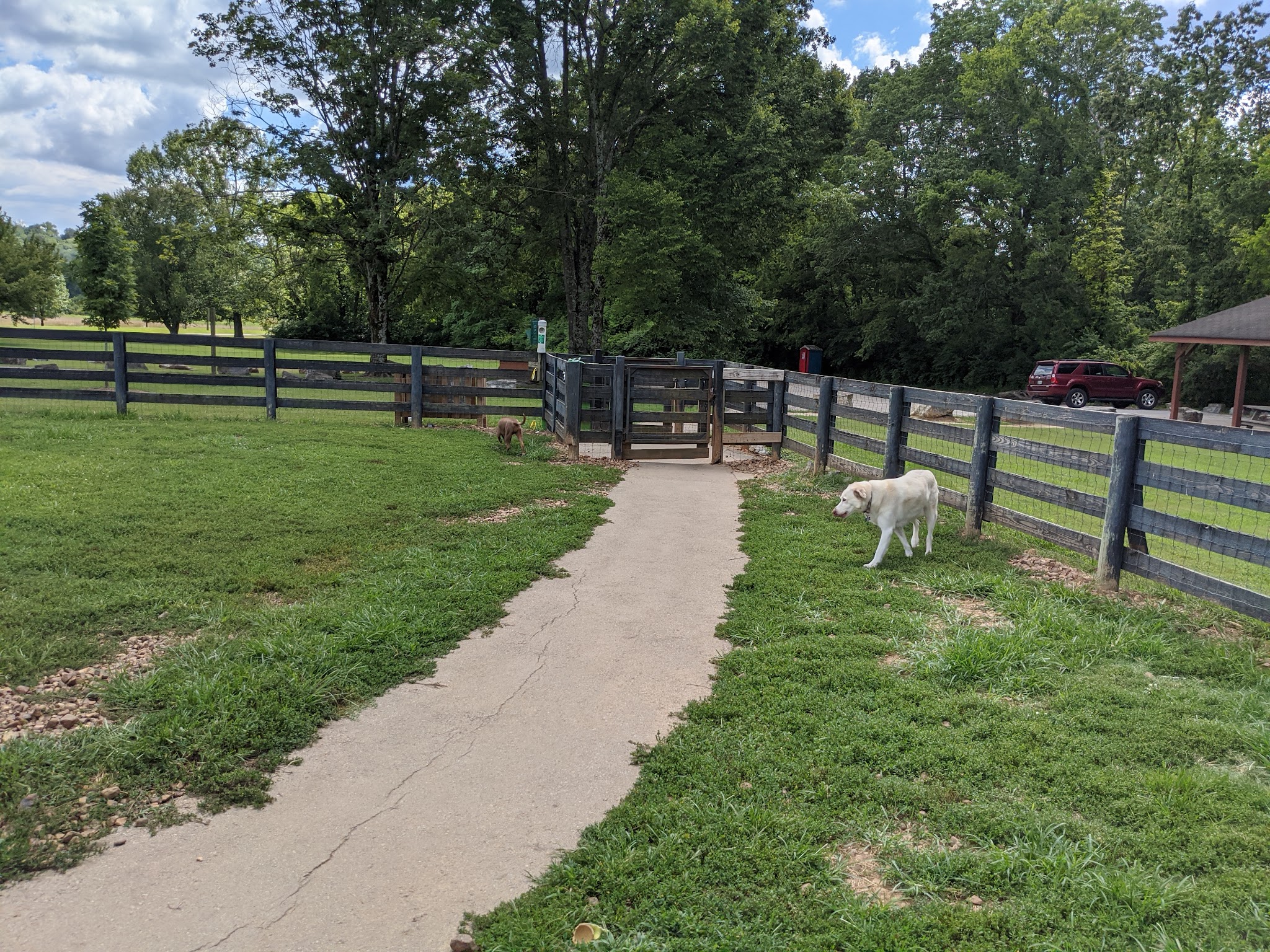 Edwin Warner Dog Park - Nashville, TN